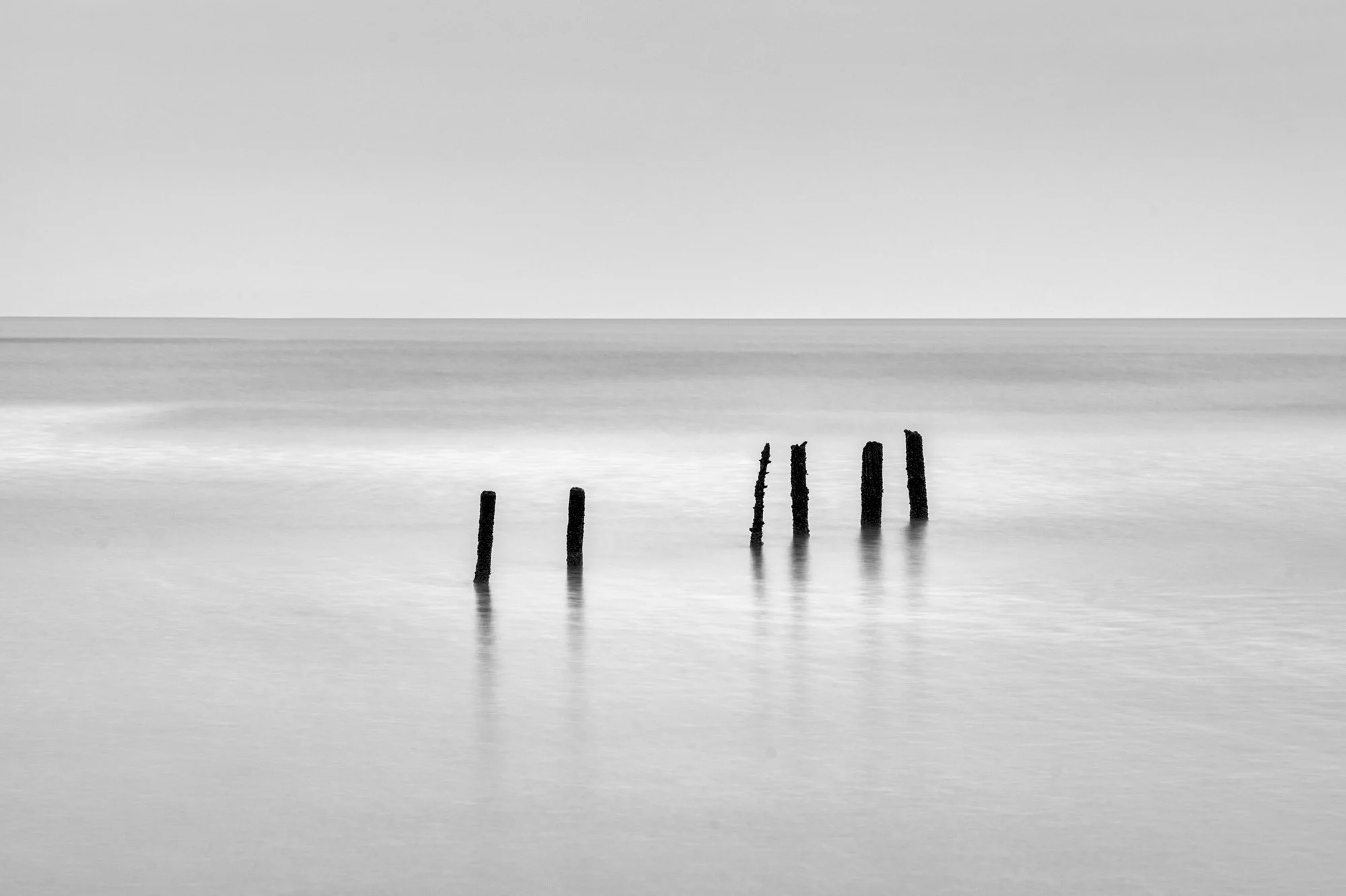 20230304-_1MH0847-Edit-2.jpg