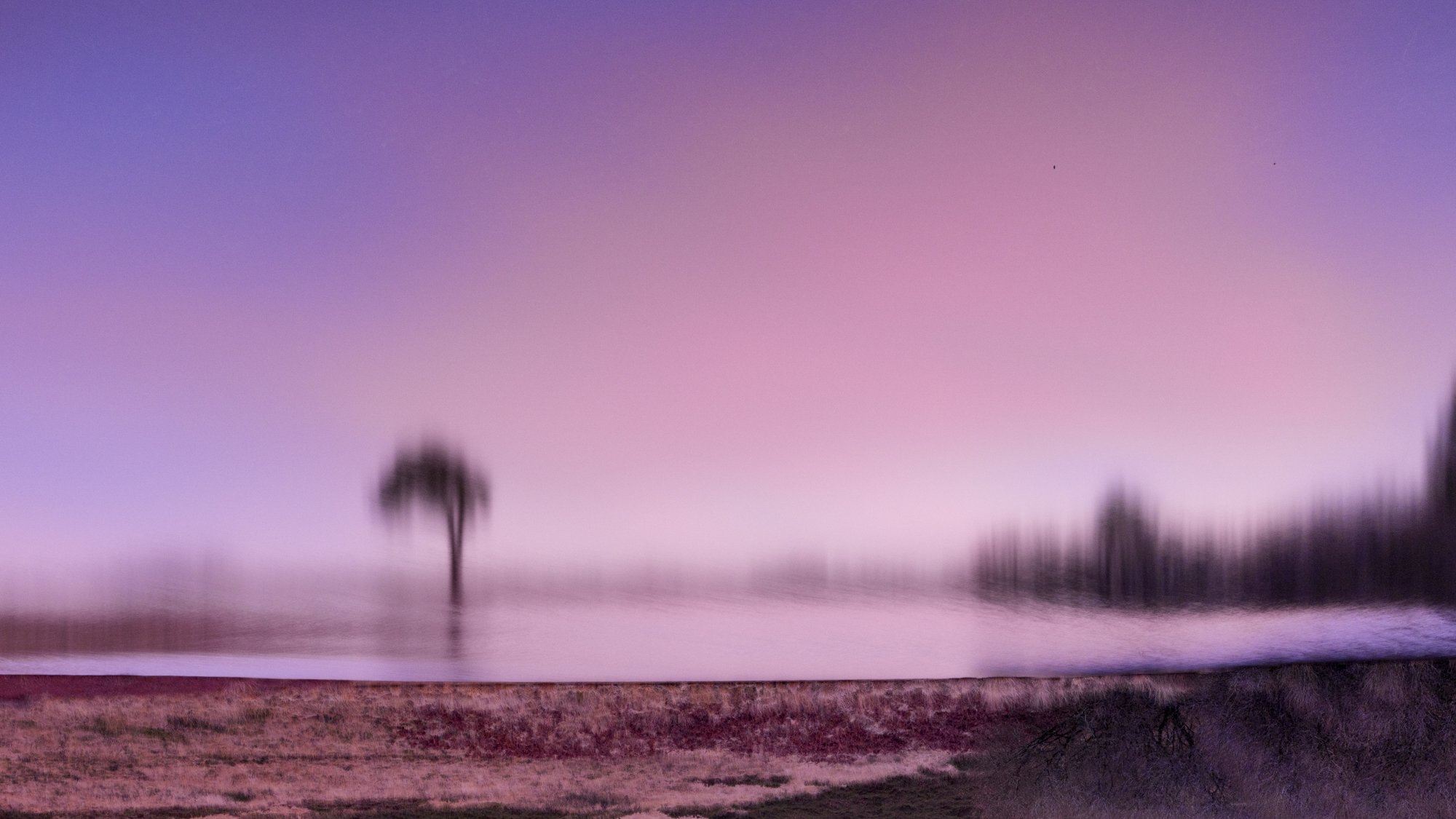 untitled-48-Edit-Edit.jpg