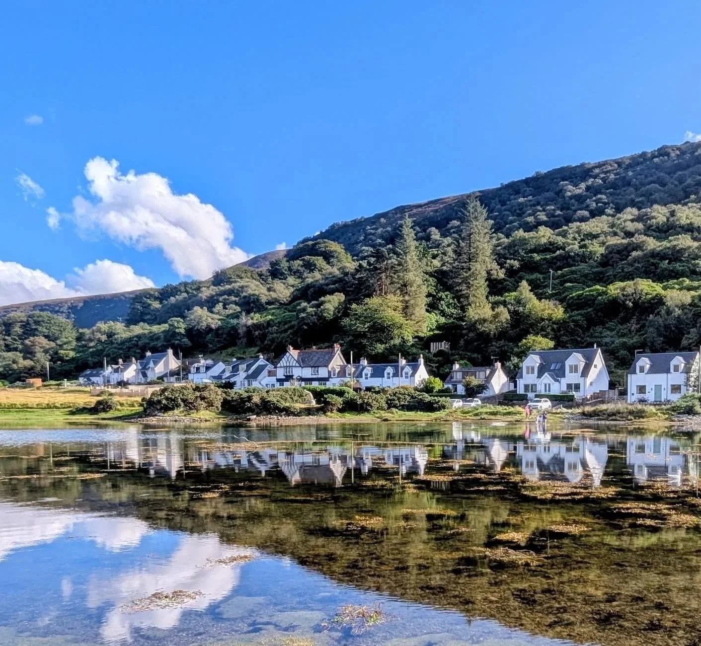 View of Lochranza cottages beside the loch, on a sunny day. Cottages are reflected in the water.