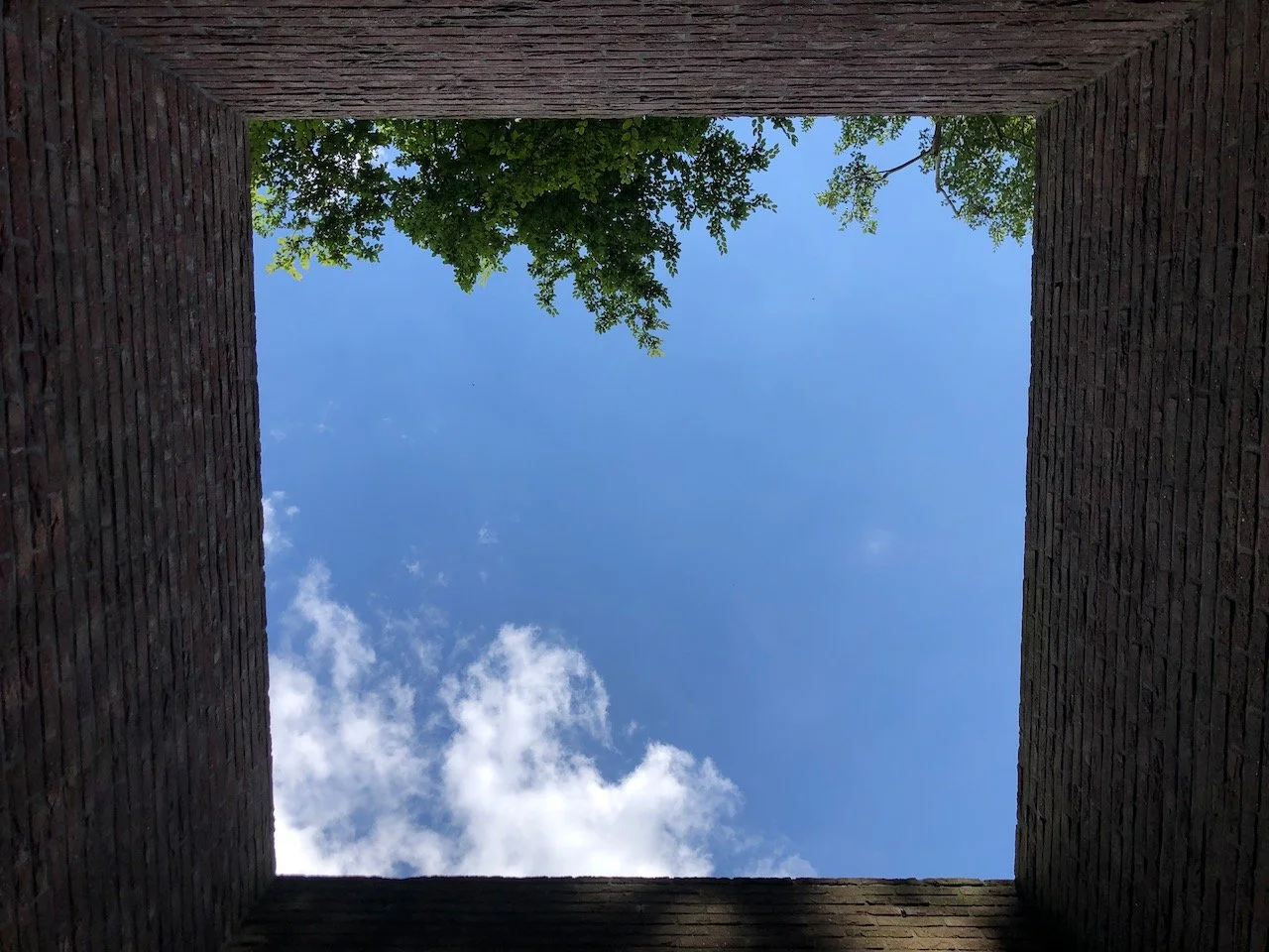 A photo angled up at a blue sky framed by high square walls. Green leaves are visible at the top of the square while white wispy clouds are visible at the bottom. Photo credit: Kelly Nielsen