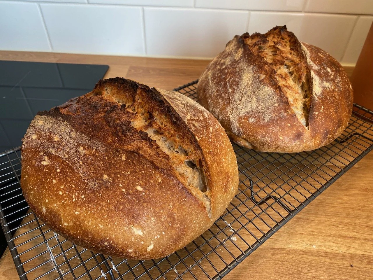 A photo of two loaves of sourdough bread on a cooling rack. The bread's crust is a deep golden brown. Photo credit: Kelly Nielsen