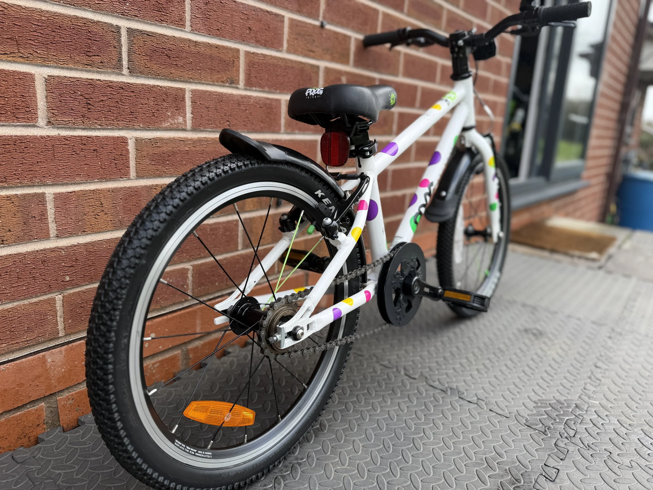 Spotty Frog 47 10.jpg