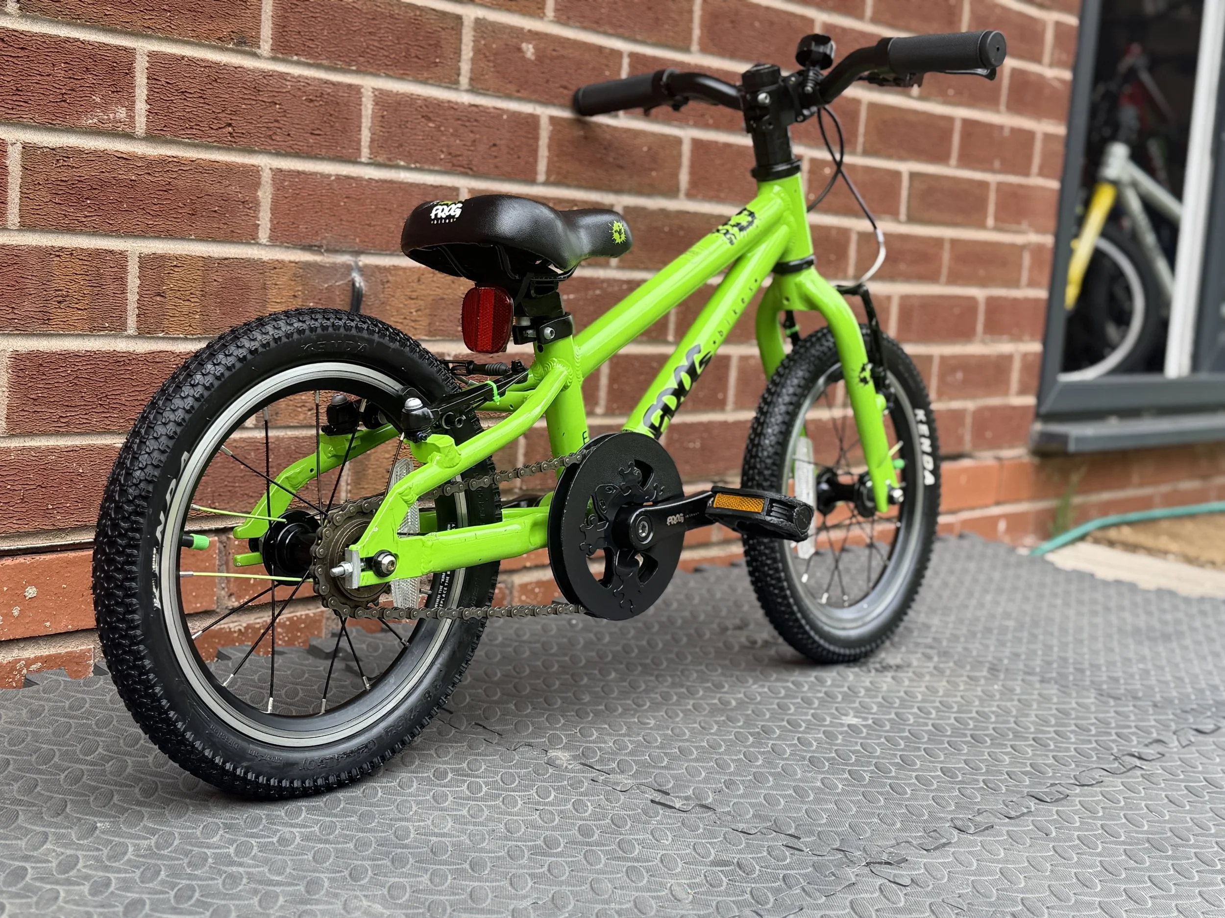 Green Frog 40 10.jpg