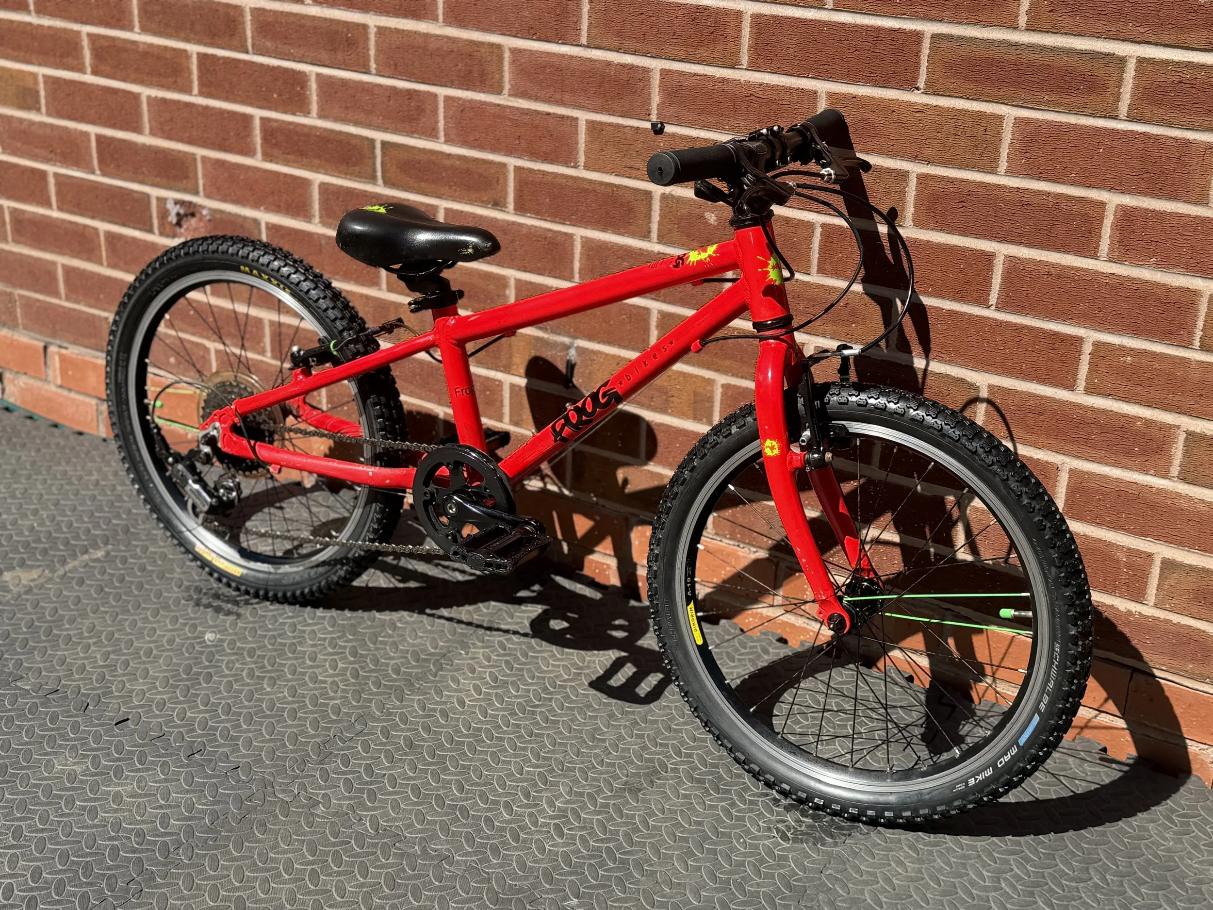 Red Frog 52 8  2.jpg