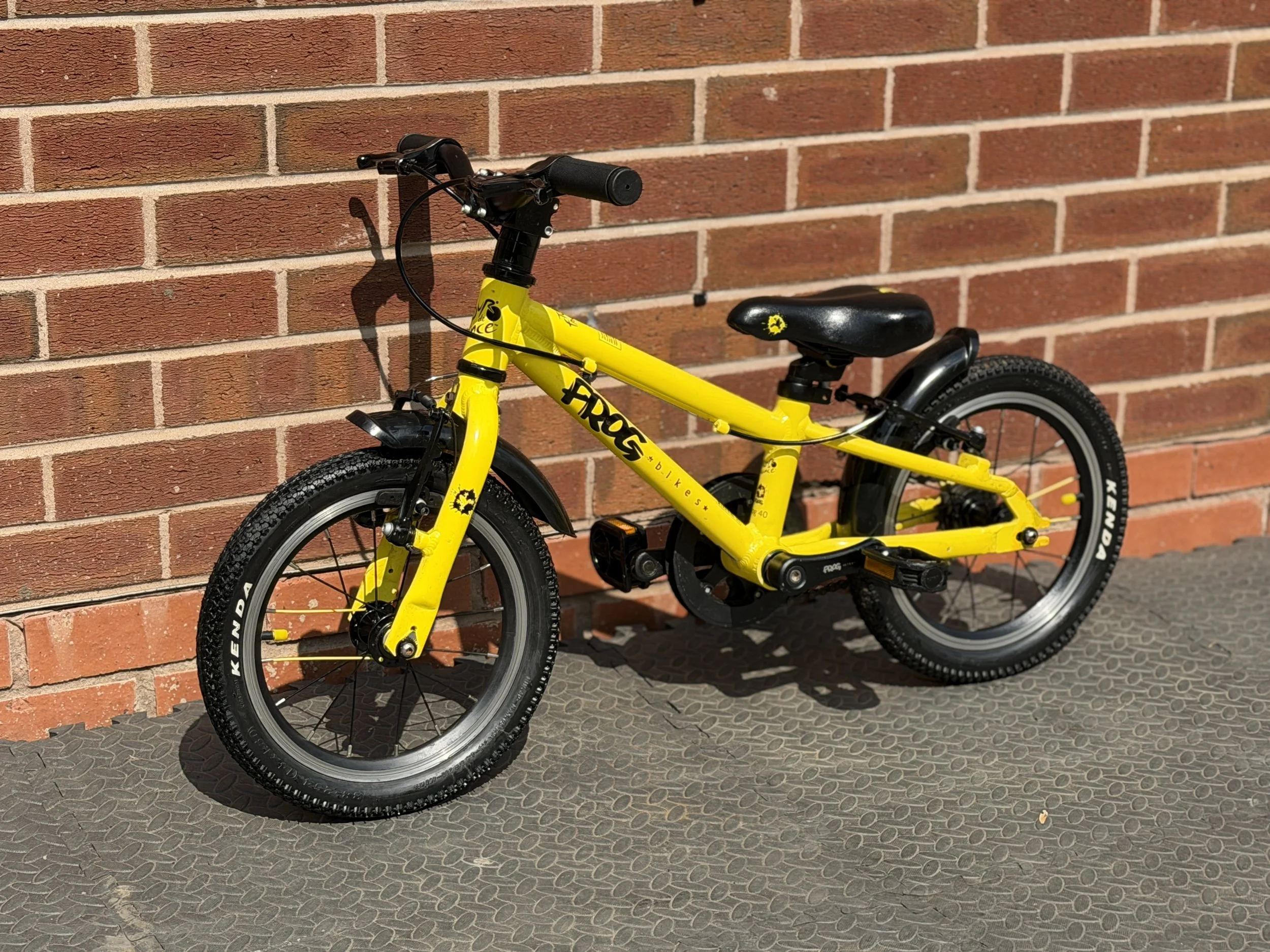 Yellow Frog 40 2 .jpg