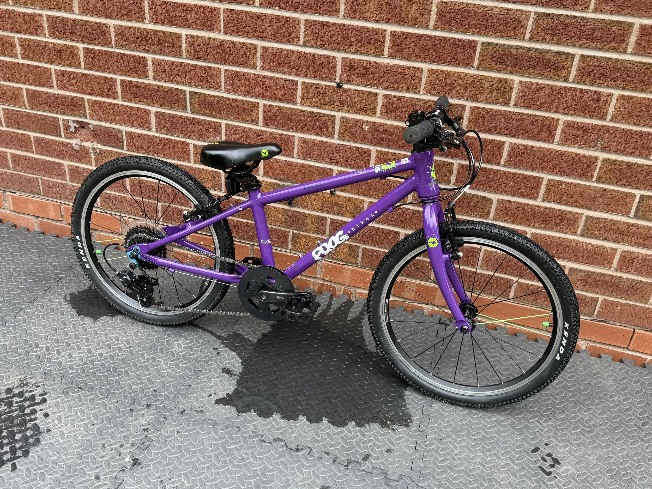 Purple Frog 53 8 .jpg