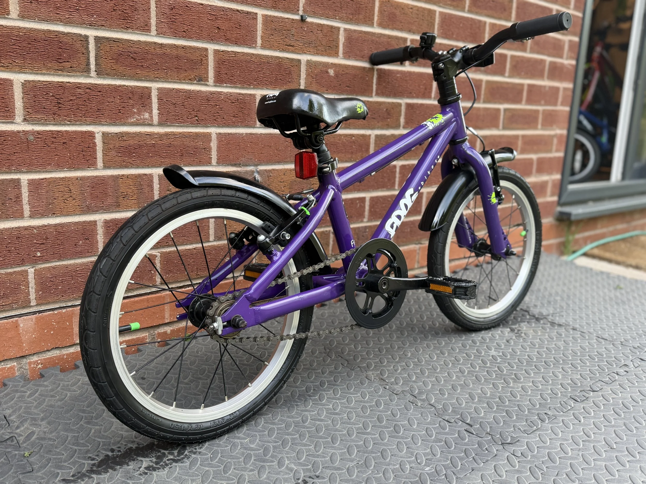 Purple Frog Bike 48 10 .jpg