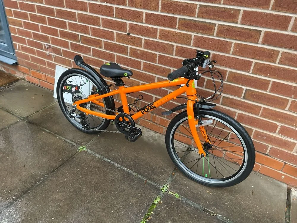 Frog 52 orange 3.jpg