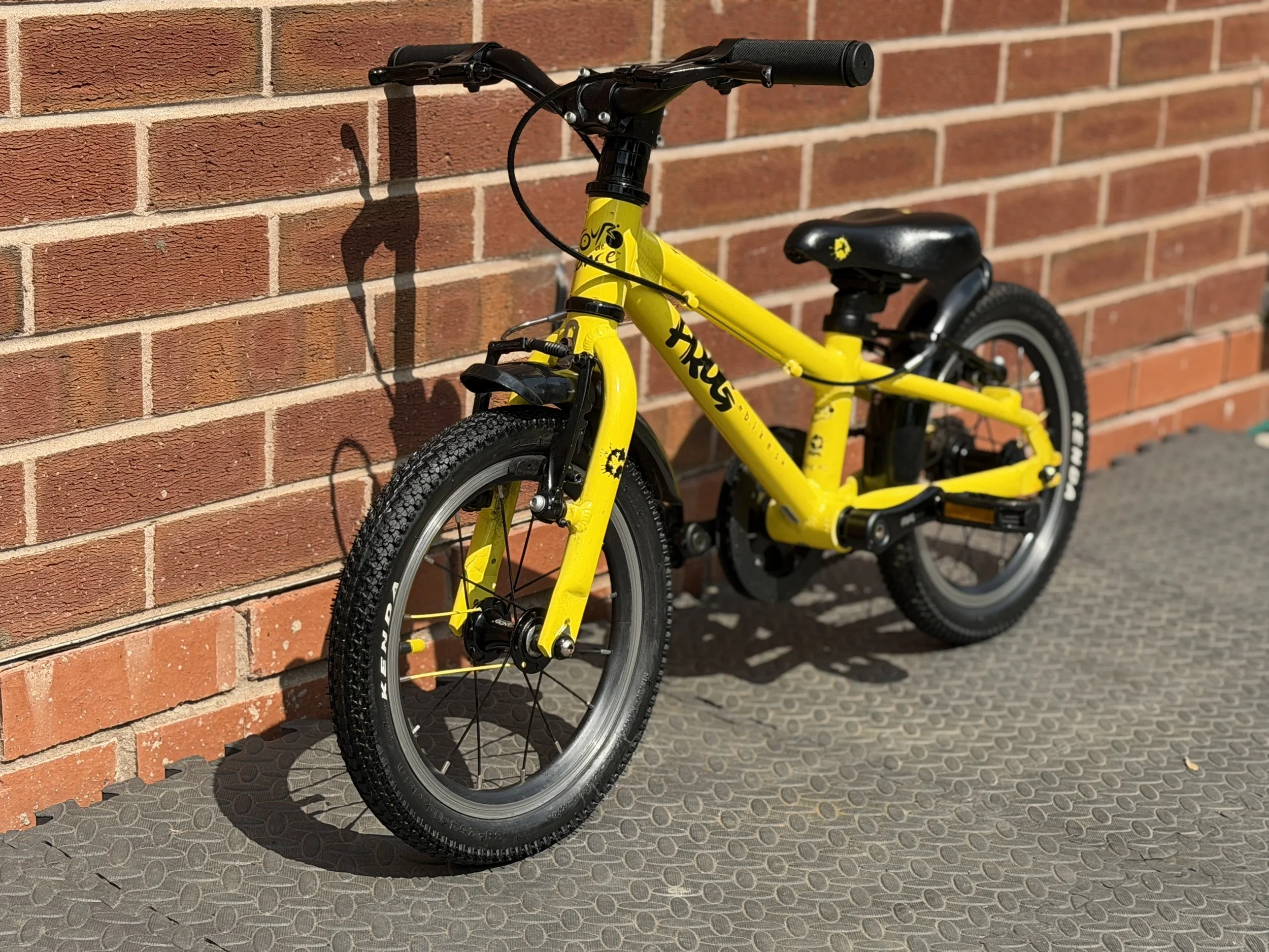 Yellow Frog 40 5 .jpg