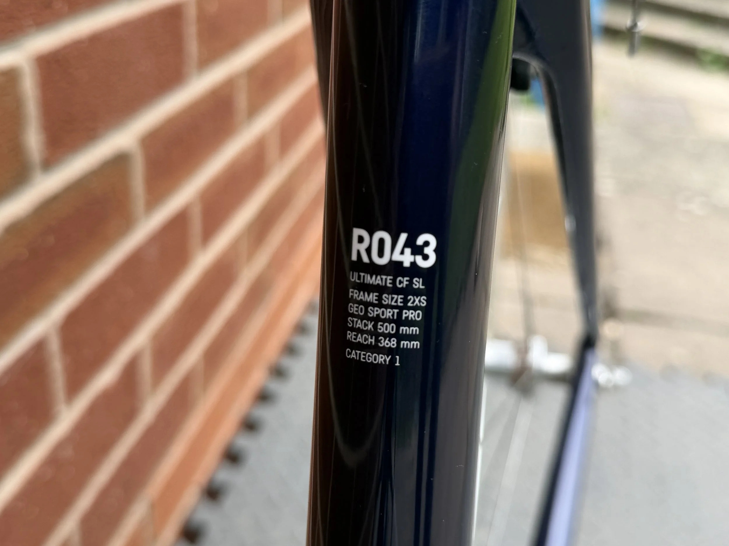 Canyon Carbon Road Bike 6.JPG