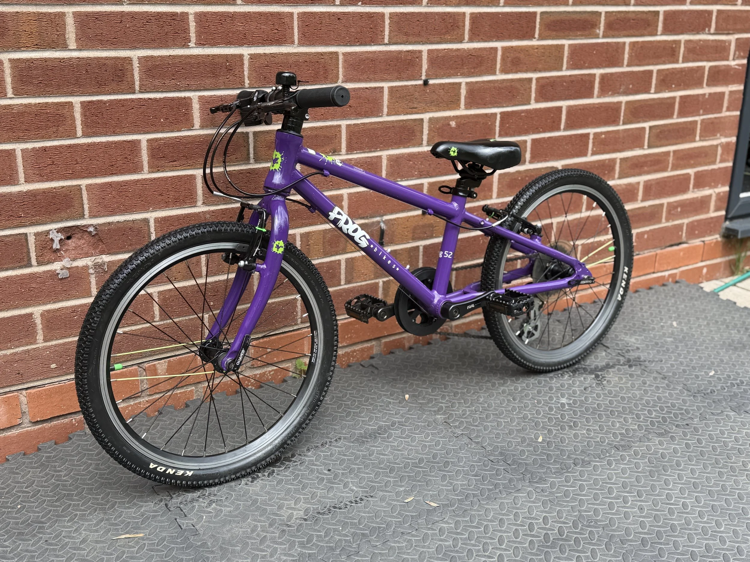 Purple Frog Bikes 52 2 .jpg