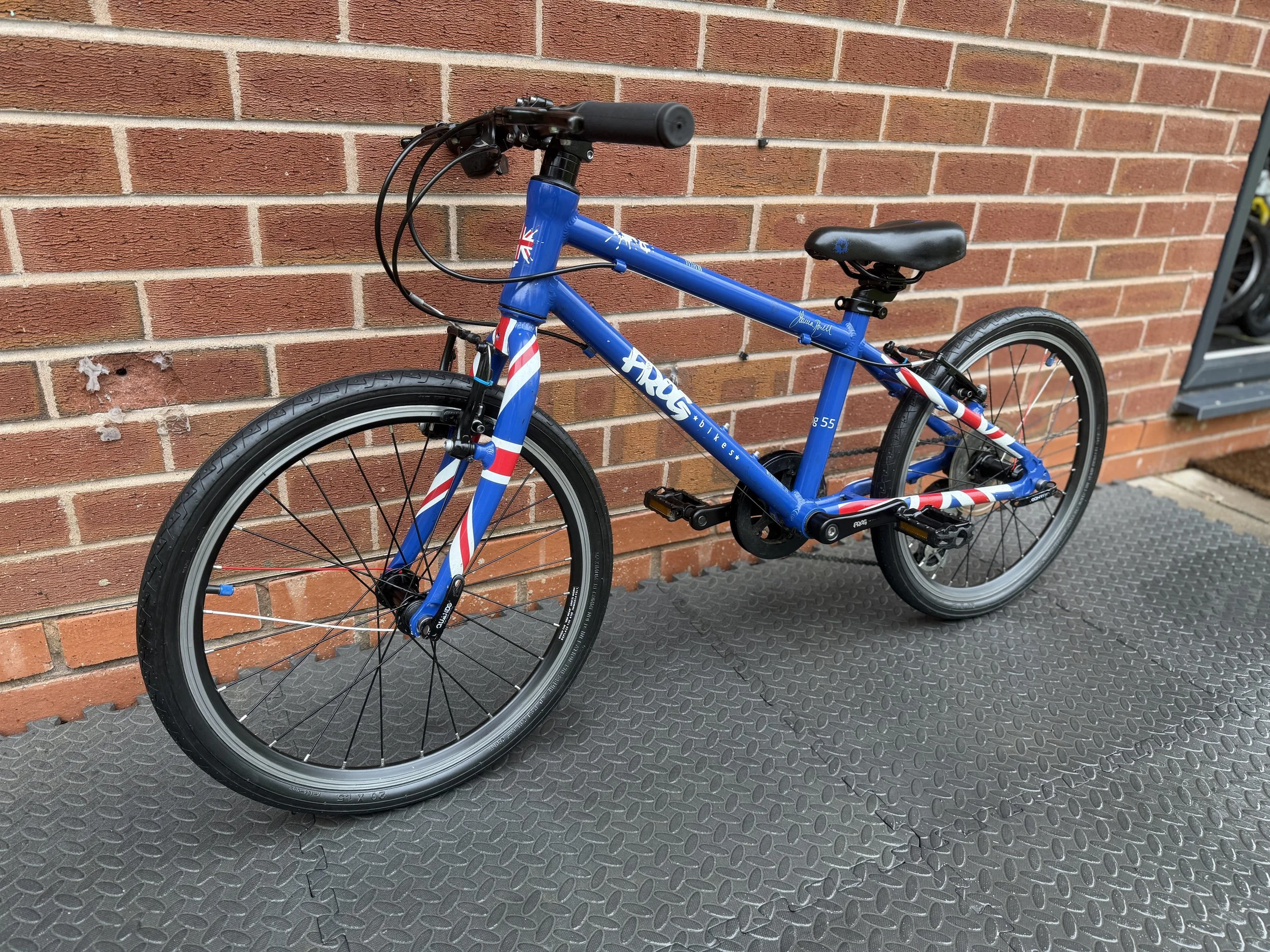 Refurbished Frog Bike 55 2 .jpg