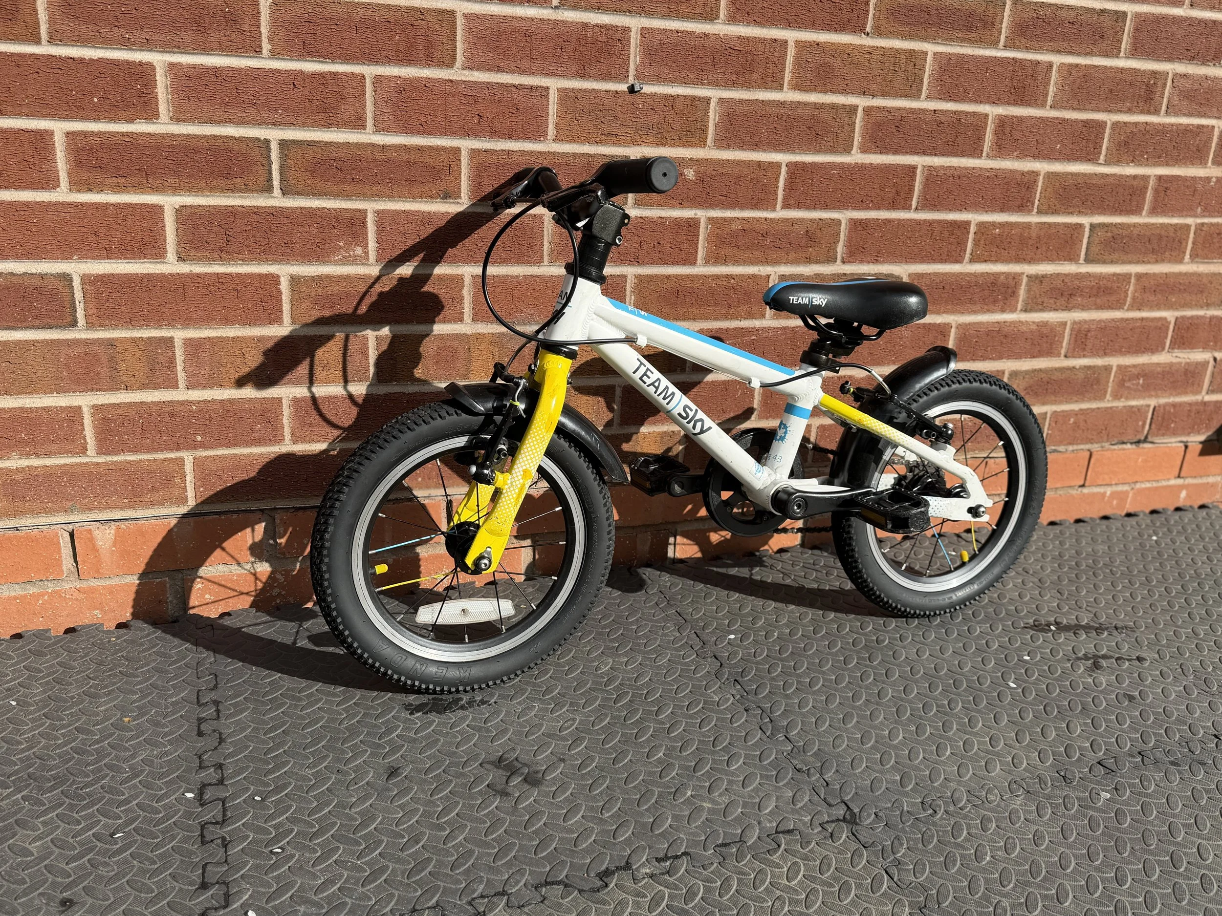 Frog Bike For Sale 2.jpg