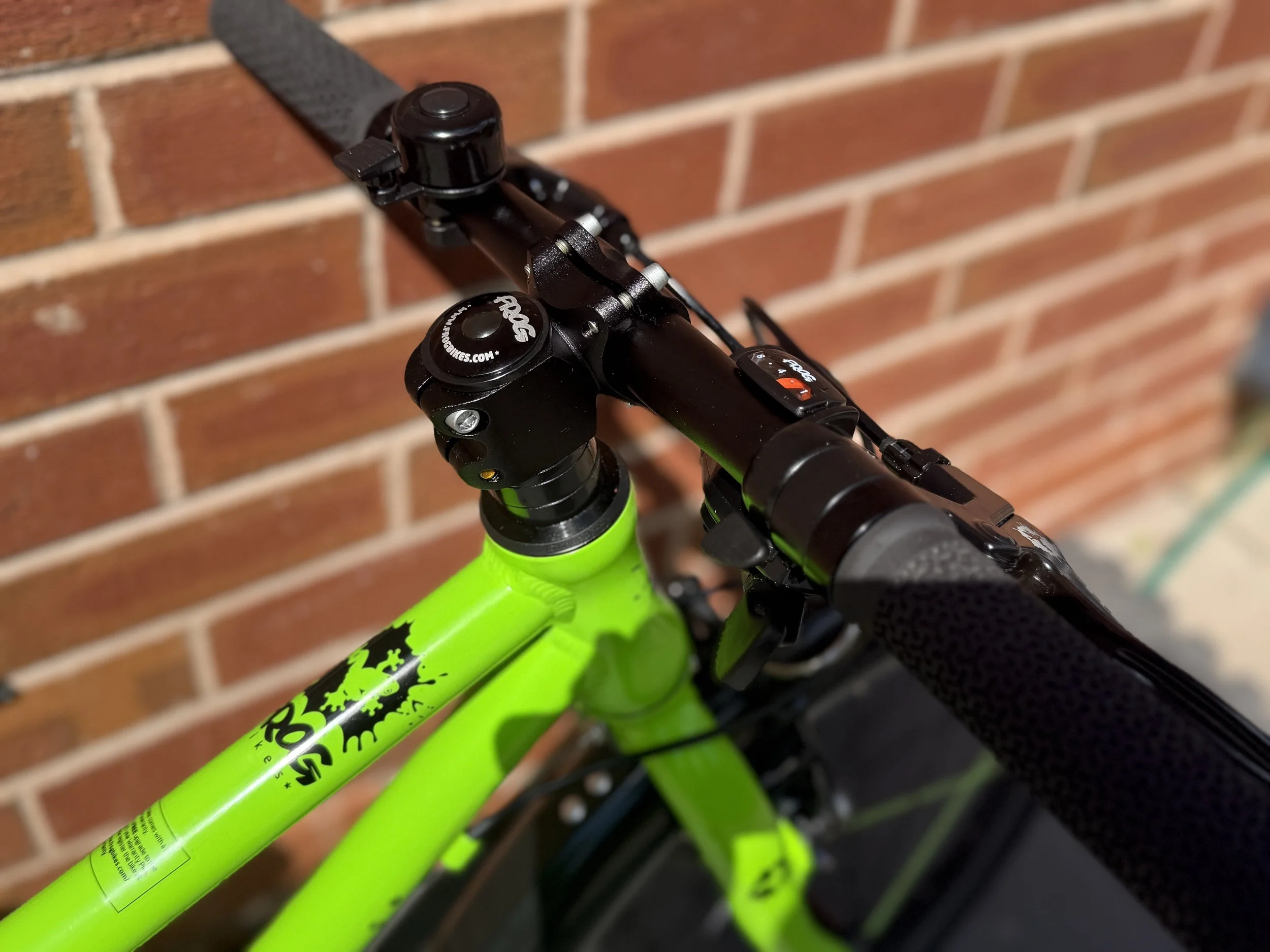 Green Frog 52 13 .jpg