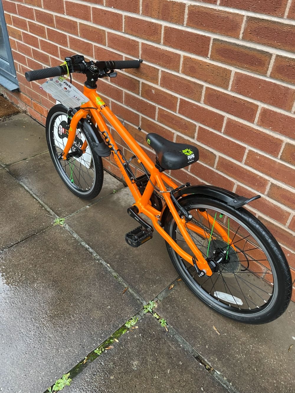 Frog 52 orange 8.jpg