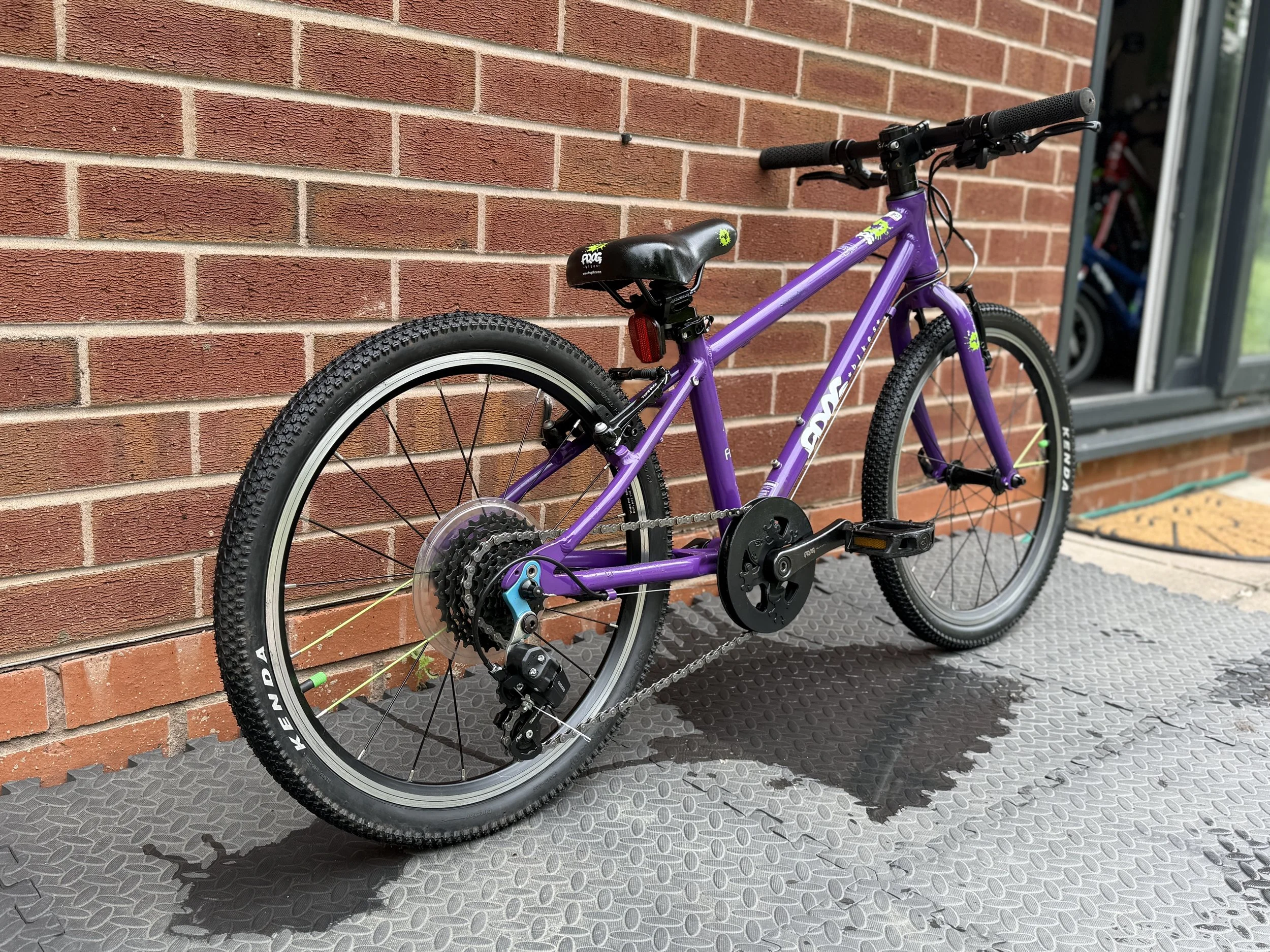 Purple Frog 53 10.jpg