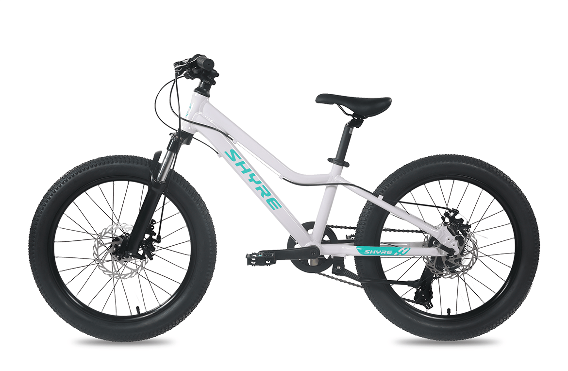shyre-eastie-20-wheels-kids-trail-bike-1200297478.png