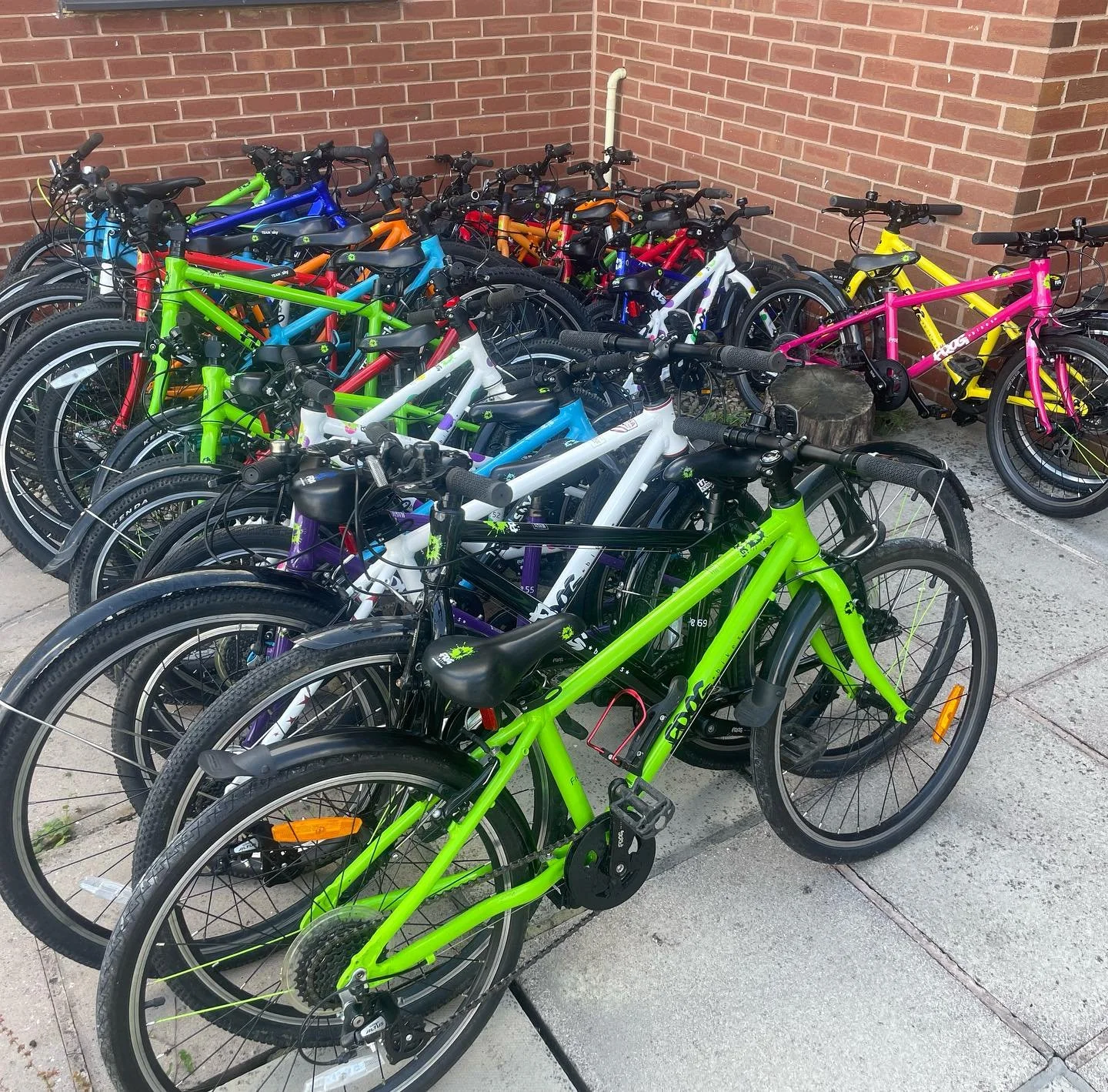 Over 30 used Frog Bikes into stock on Monday, message me if you&rsquo;re looking for a new bike for you&rsquo;re little shredder or steady wobbler 😎 #frogbikes #bikeshop #riderowned #three54ridestore #bikes #bikeride #bicycle #bicycleshop #warwicksh