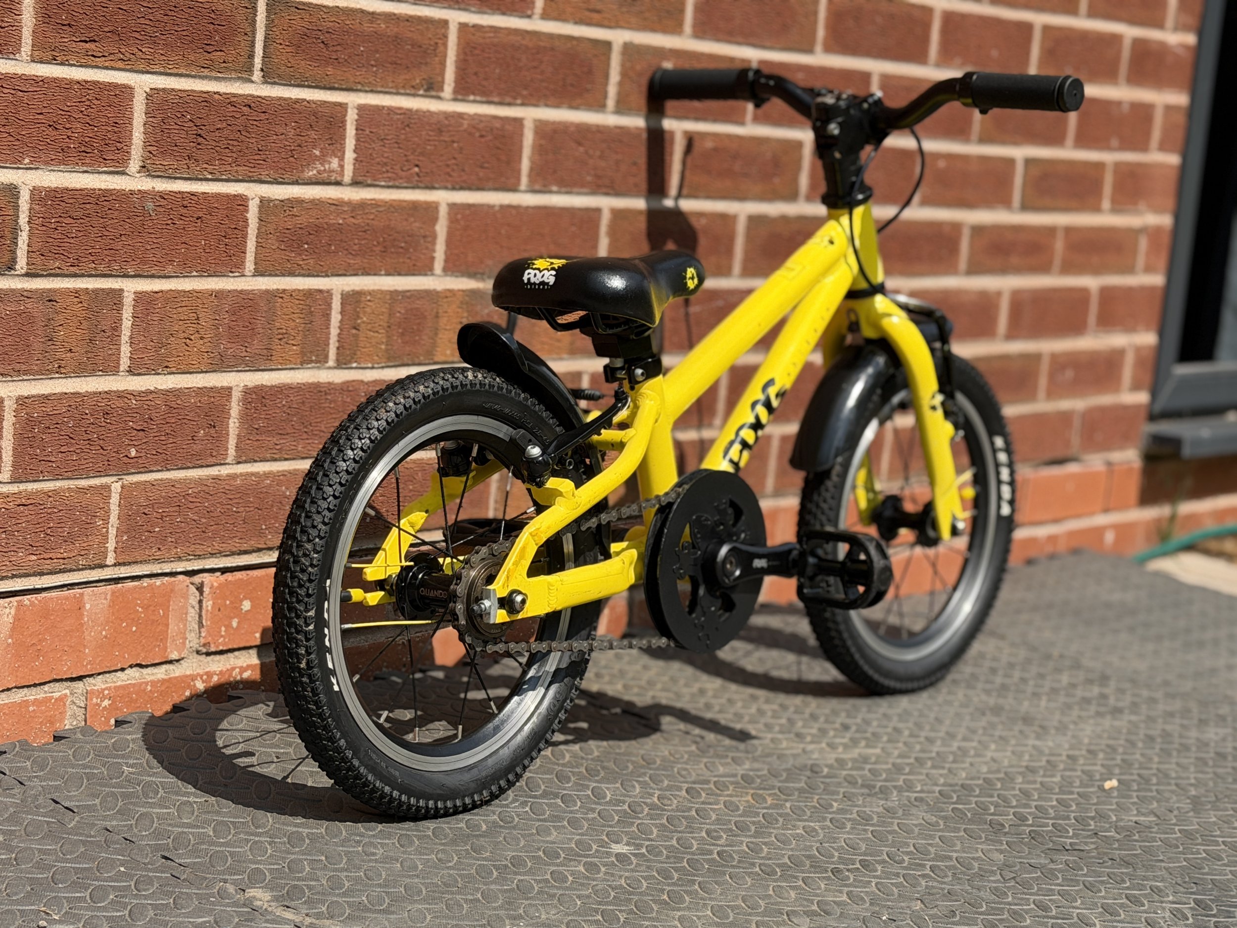 Yellow Frog 40 10 .jpg