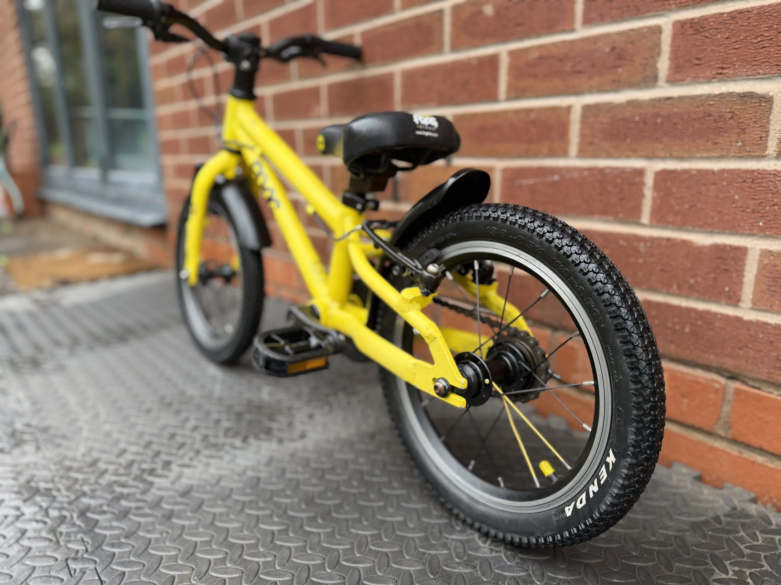 Yellow Frog Bike 40 10.jpg