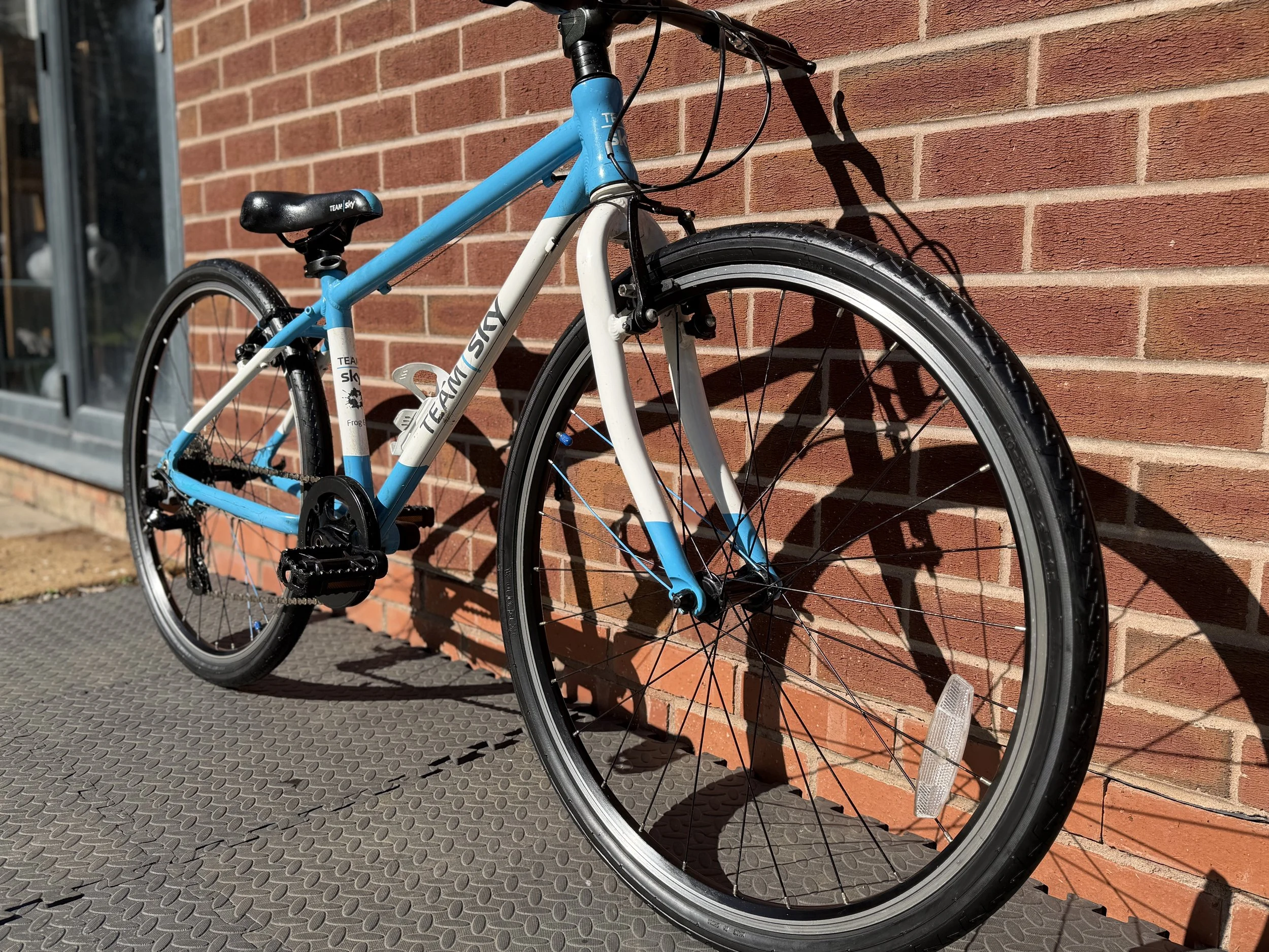 Team Sky Frog 69 9.jpg