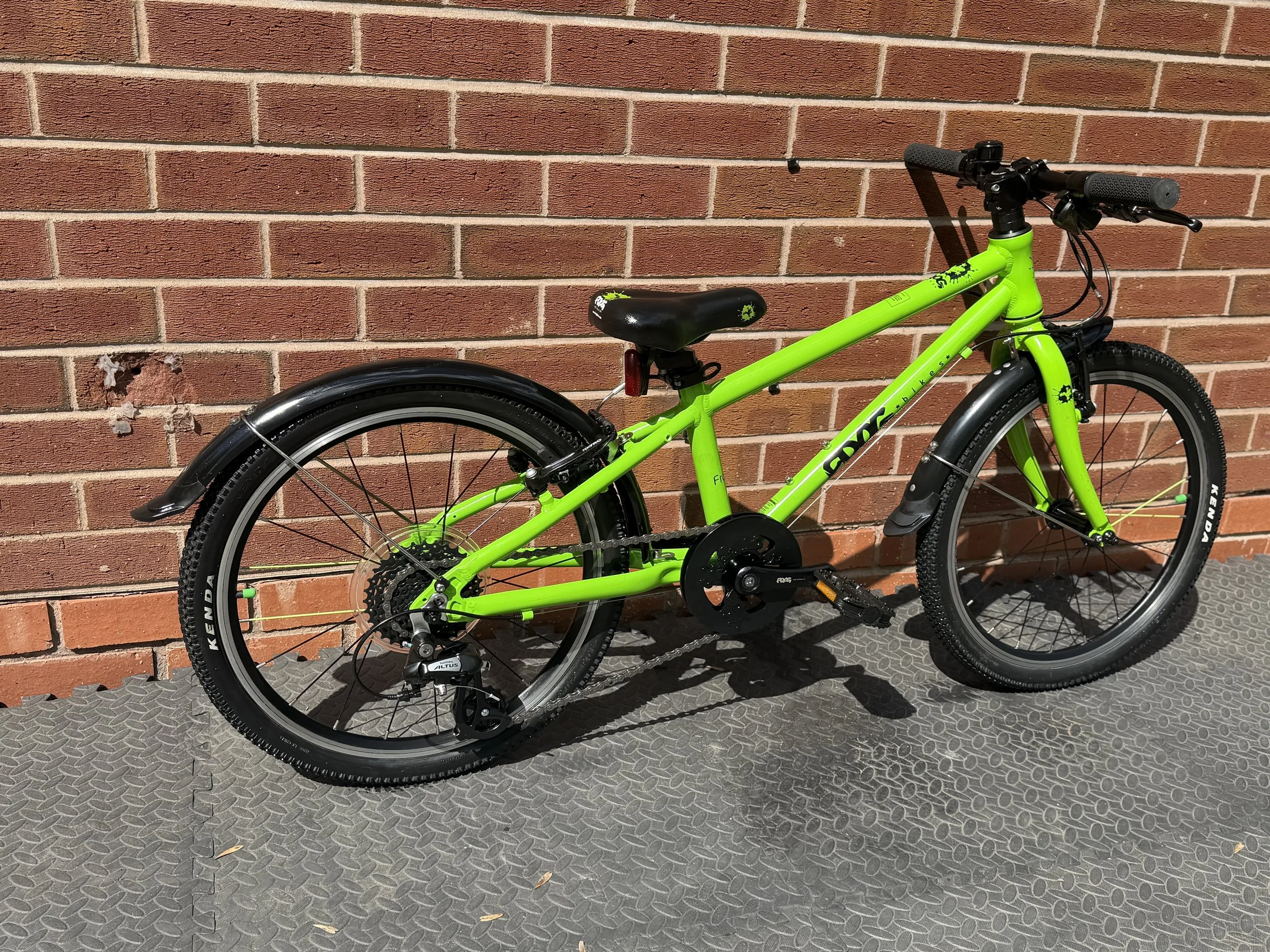 Green Frog 52 7 .jpg