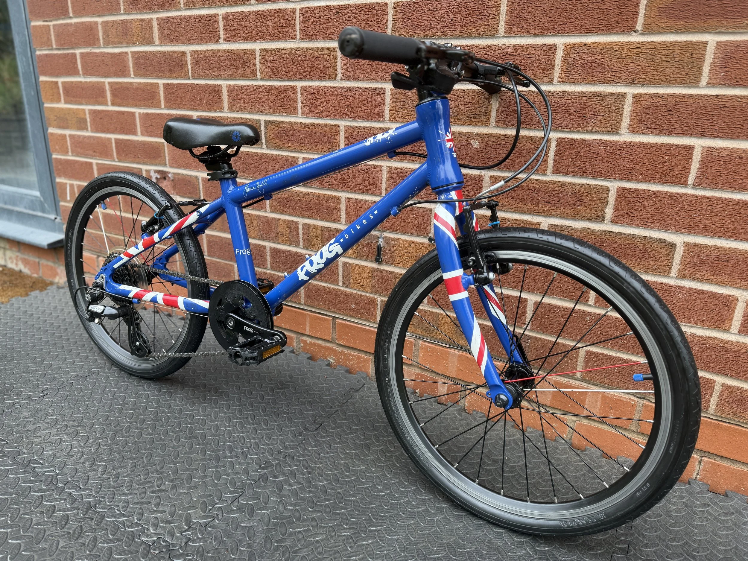 Refurbished Frog Bike 55 8.jpg