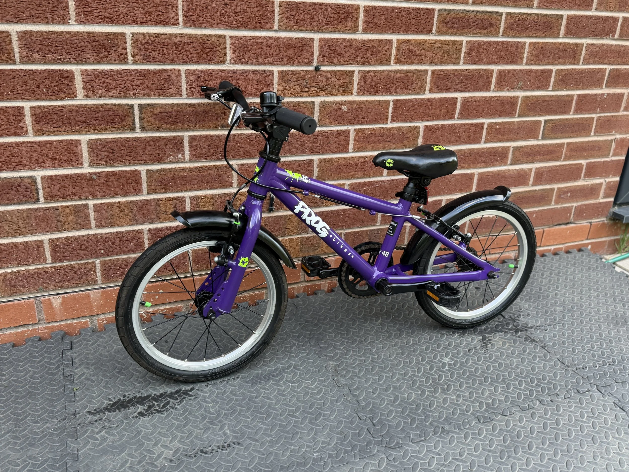 Purple Frog Bike 48 2 .jpg