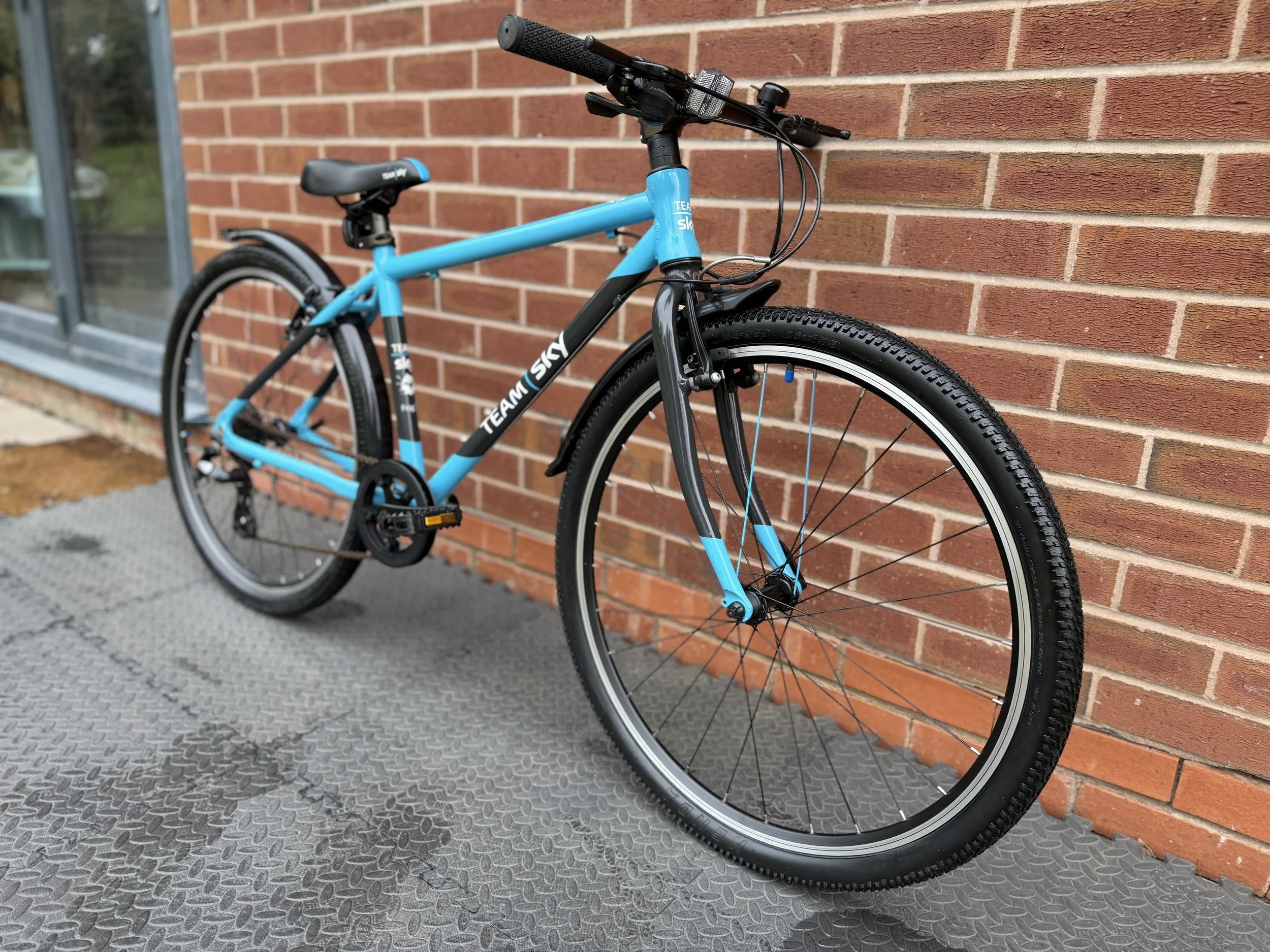 Team Sky Frog 73 8.jpg