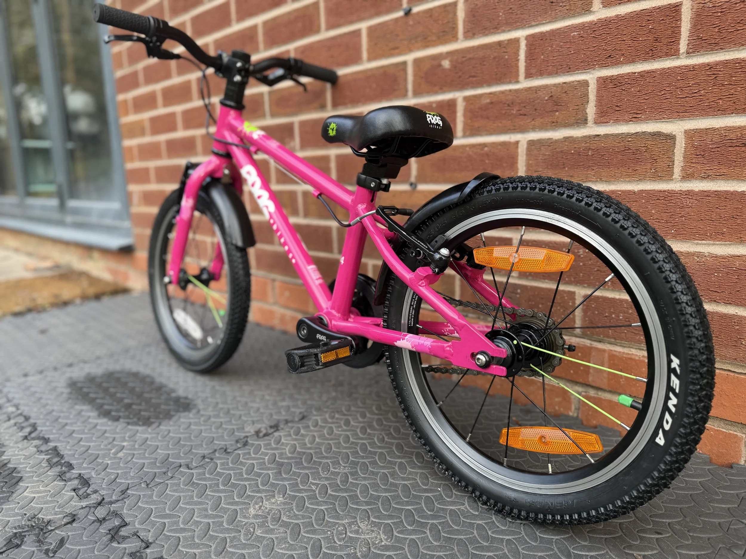 Pink Frog Bike 44 4 .jpg