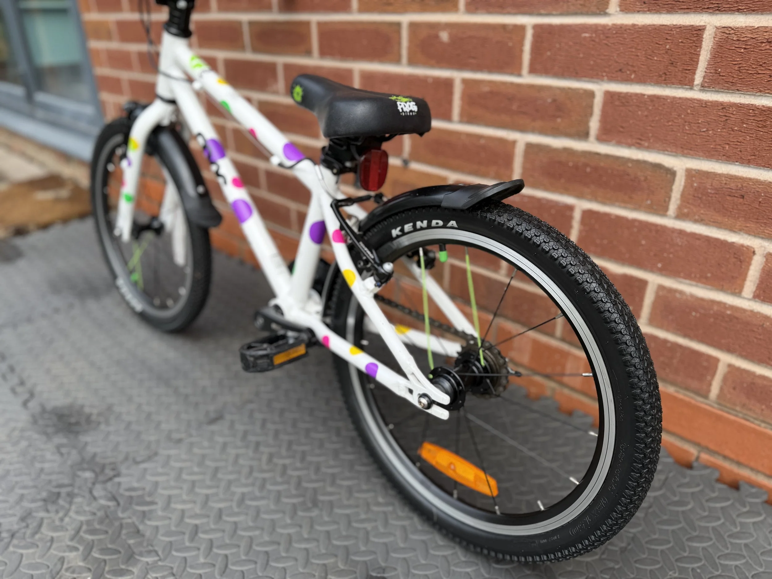 Spotty Frog 47 4.jpg