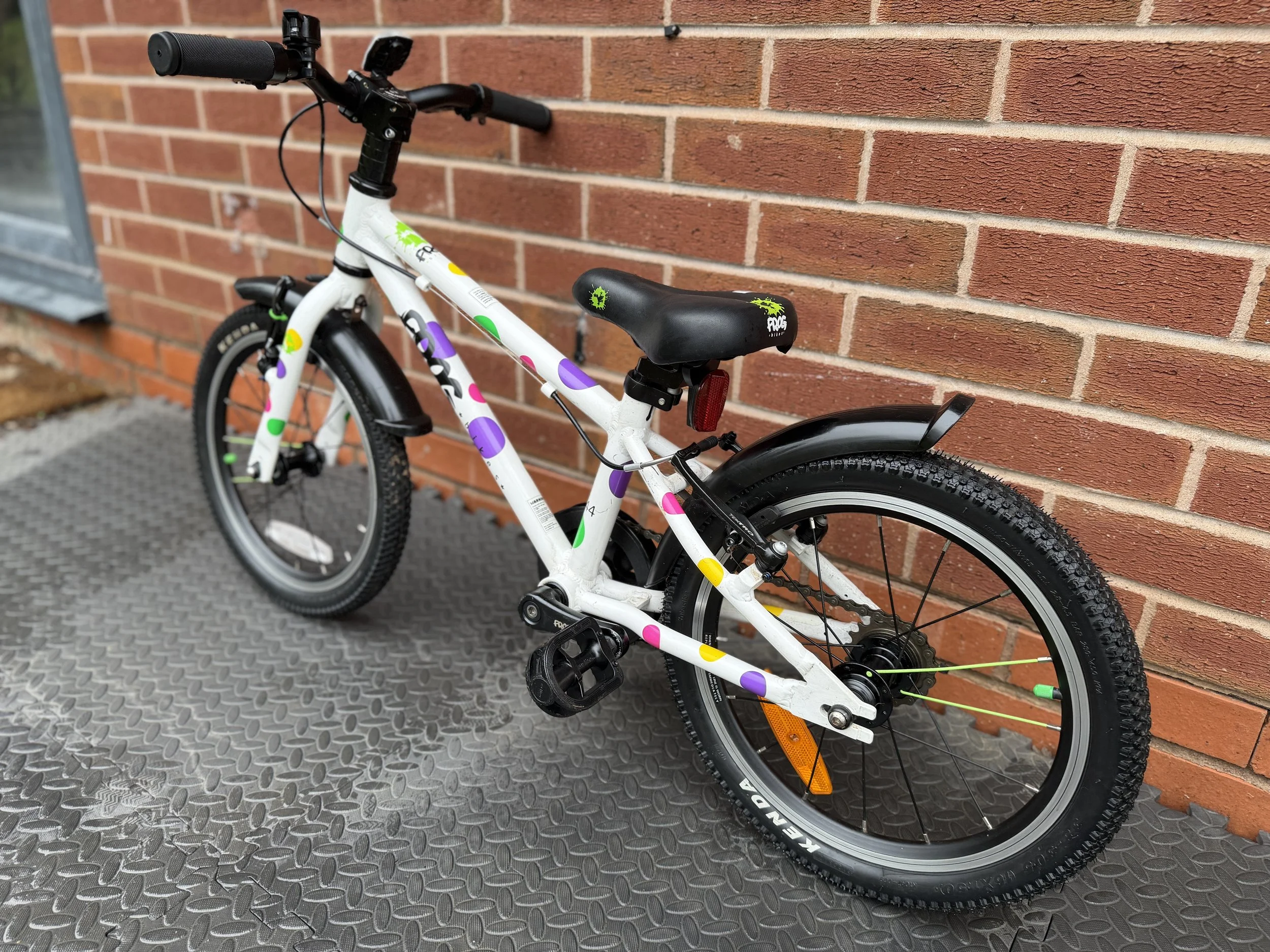 White Spotty Frog 44 3 .jpg