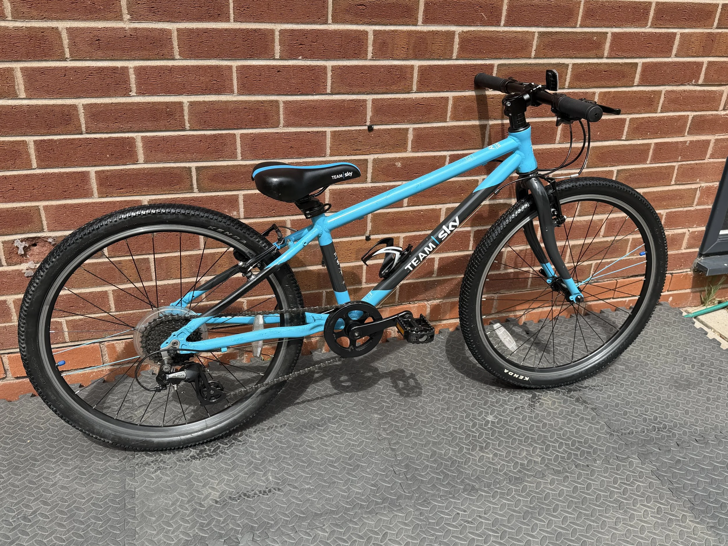 Team Sky Frog Bike 7 .jpg
