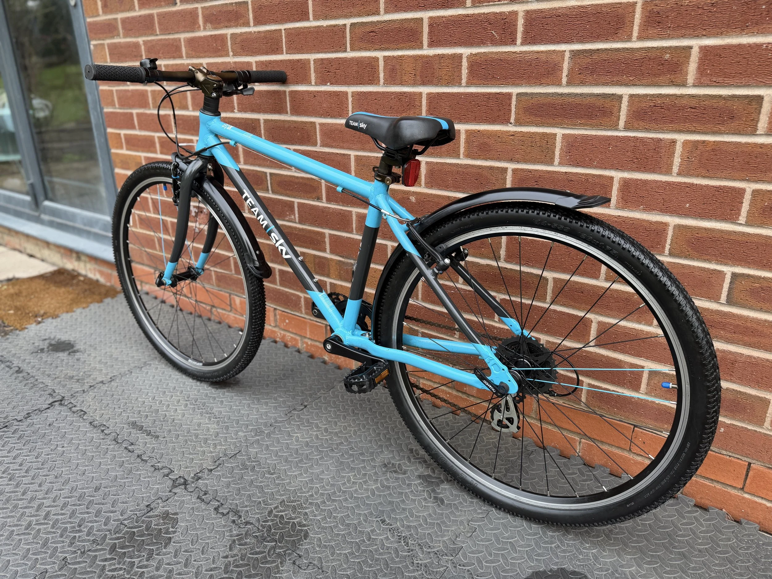 Team Sky Frog 73 3 .jpg