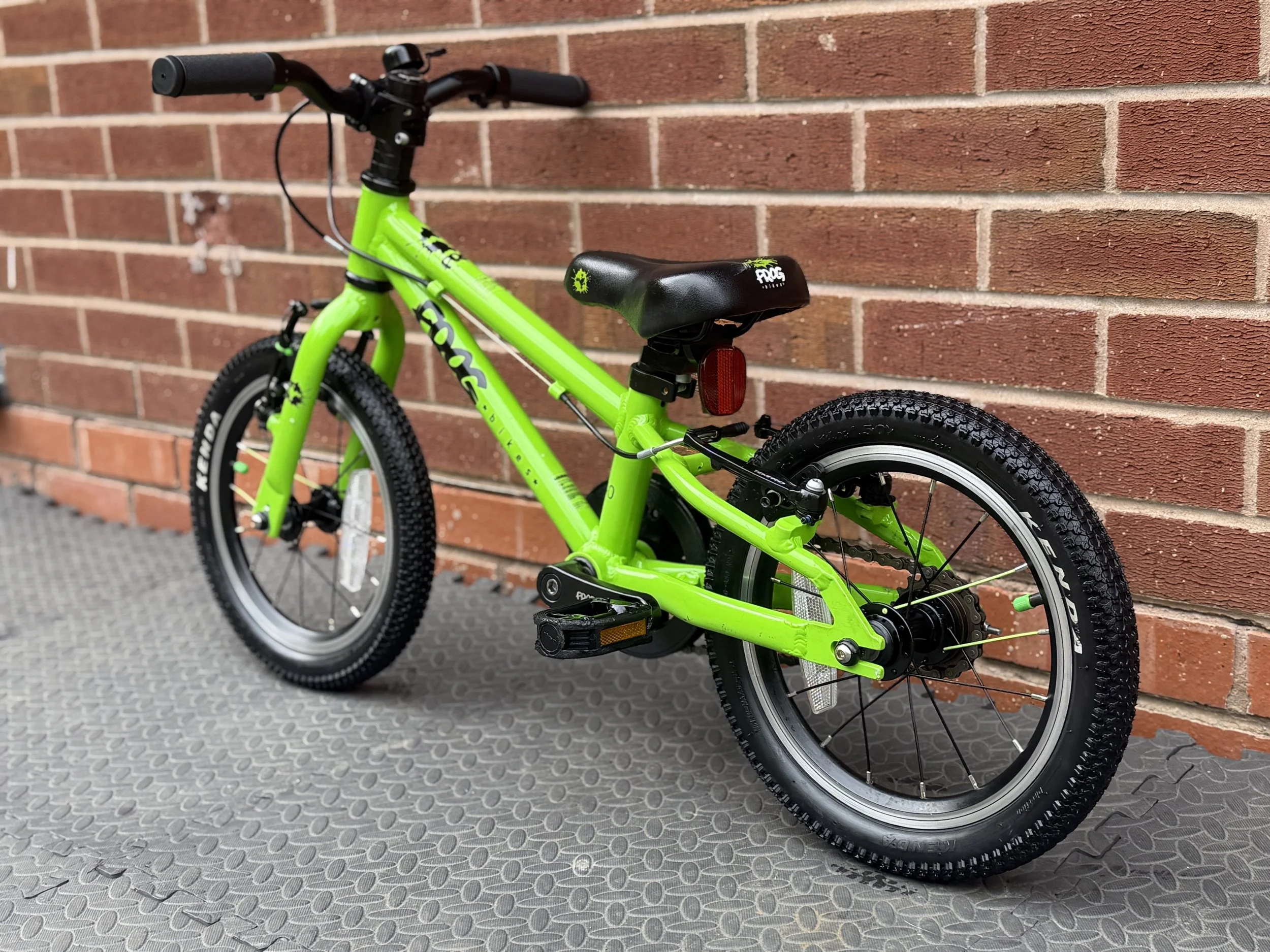 Green Frog 40 4 .jpg