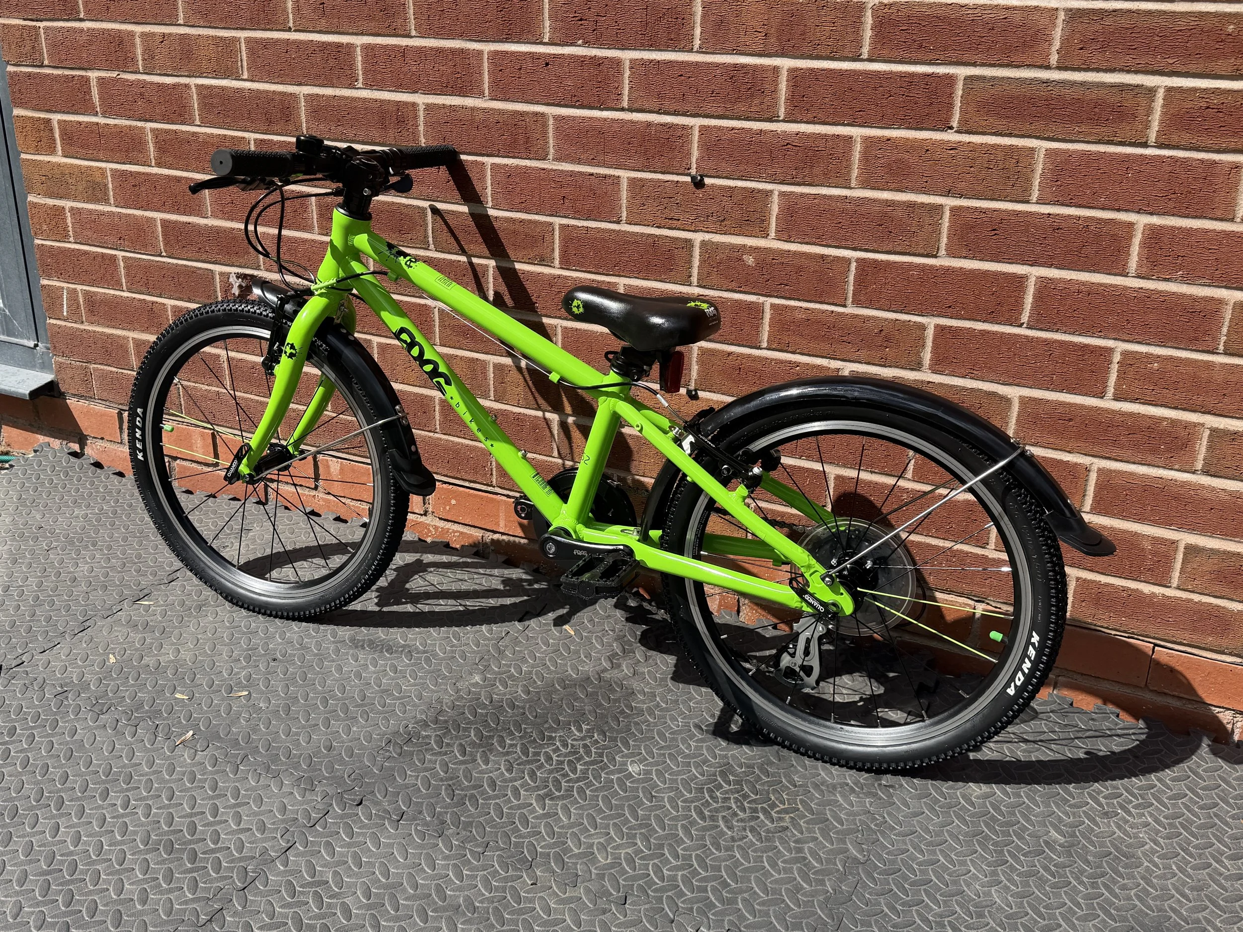 Green Frog 52 3 .jpg