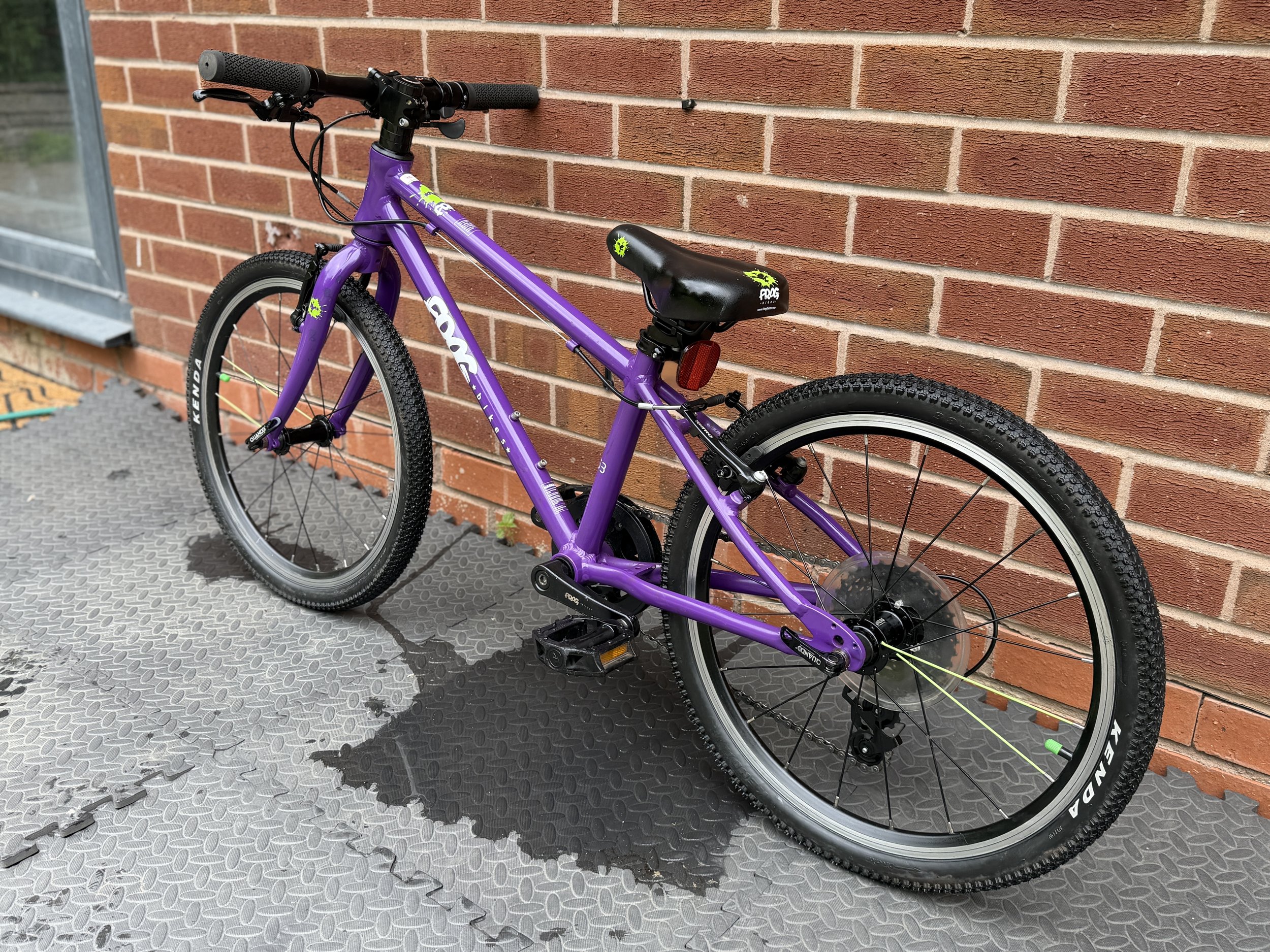 Purple Frog 53 4 .jpg