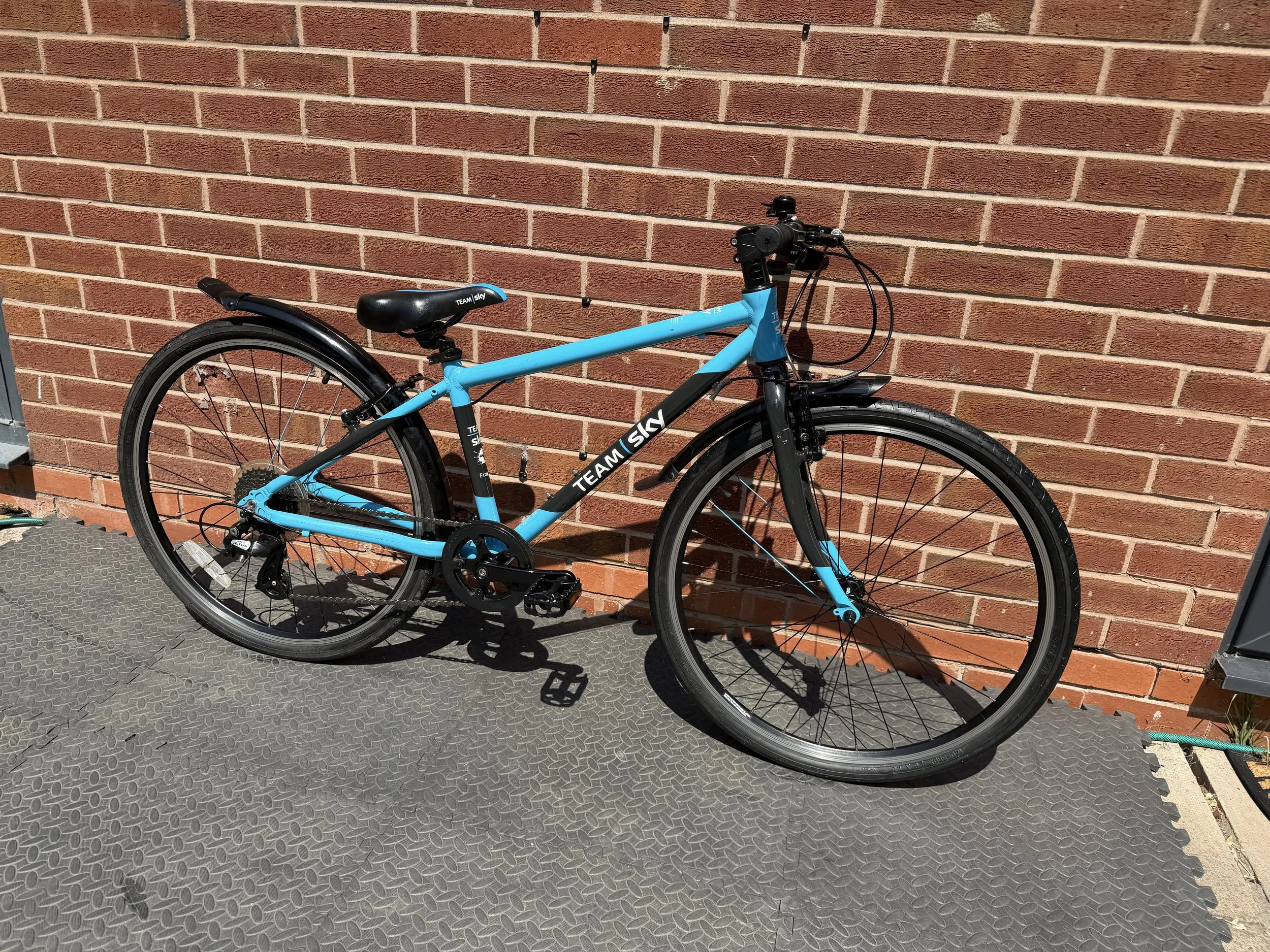 Team Sky Pro Cycling Frog Bike 8 .jpg