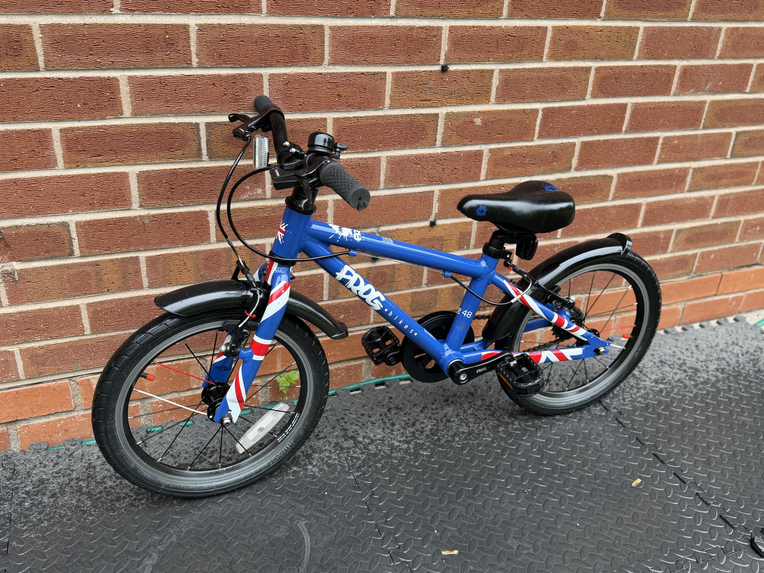Blue Frog first pedal bike 2 .jpg