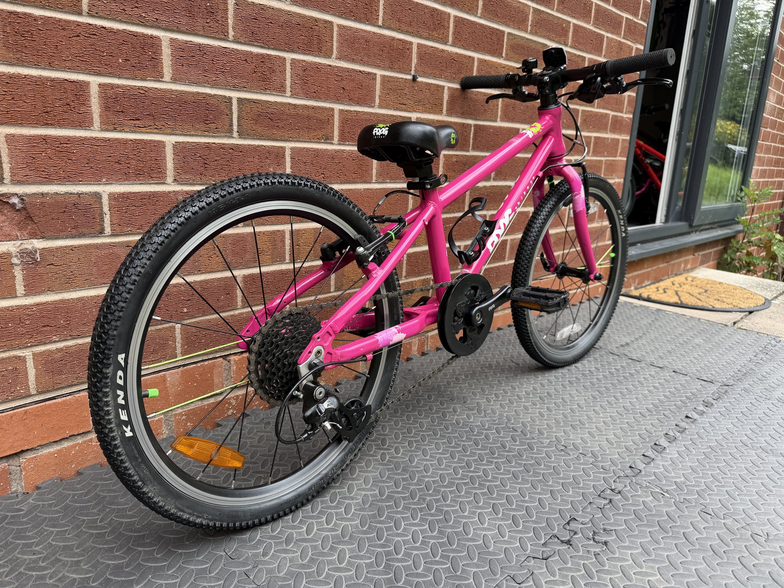 Pink Frog 52 10 .JPG