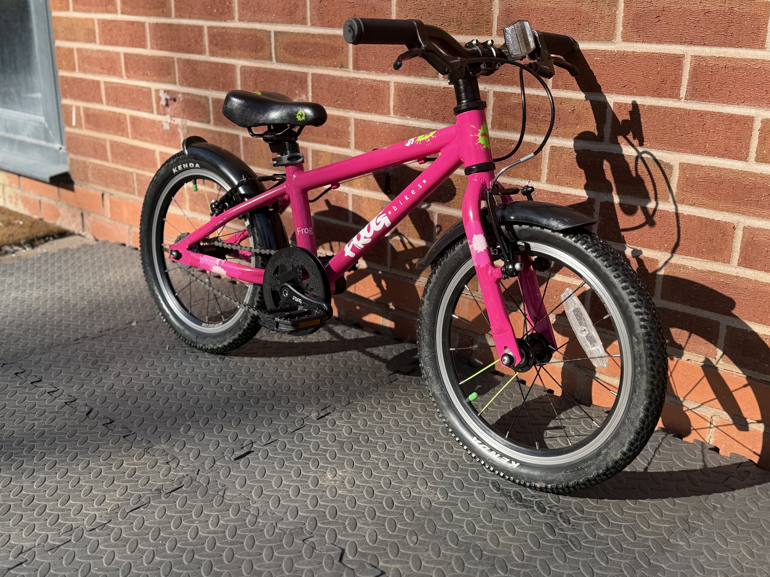 Pink Frog Bike 48 6.jpg