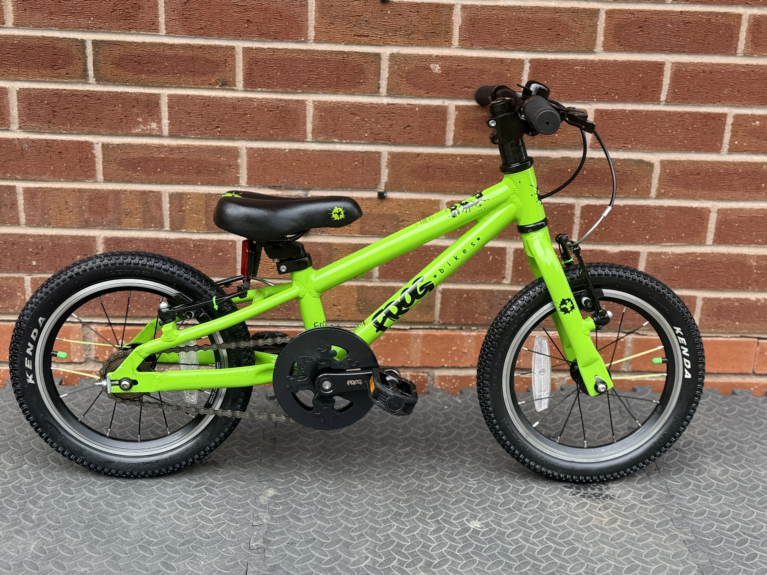 Green Frog 40 6 .jpg