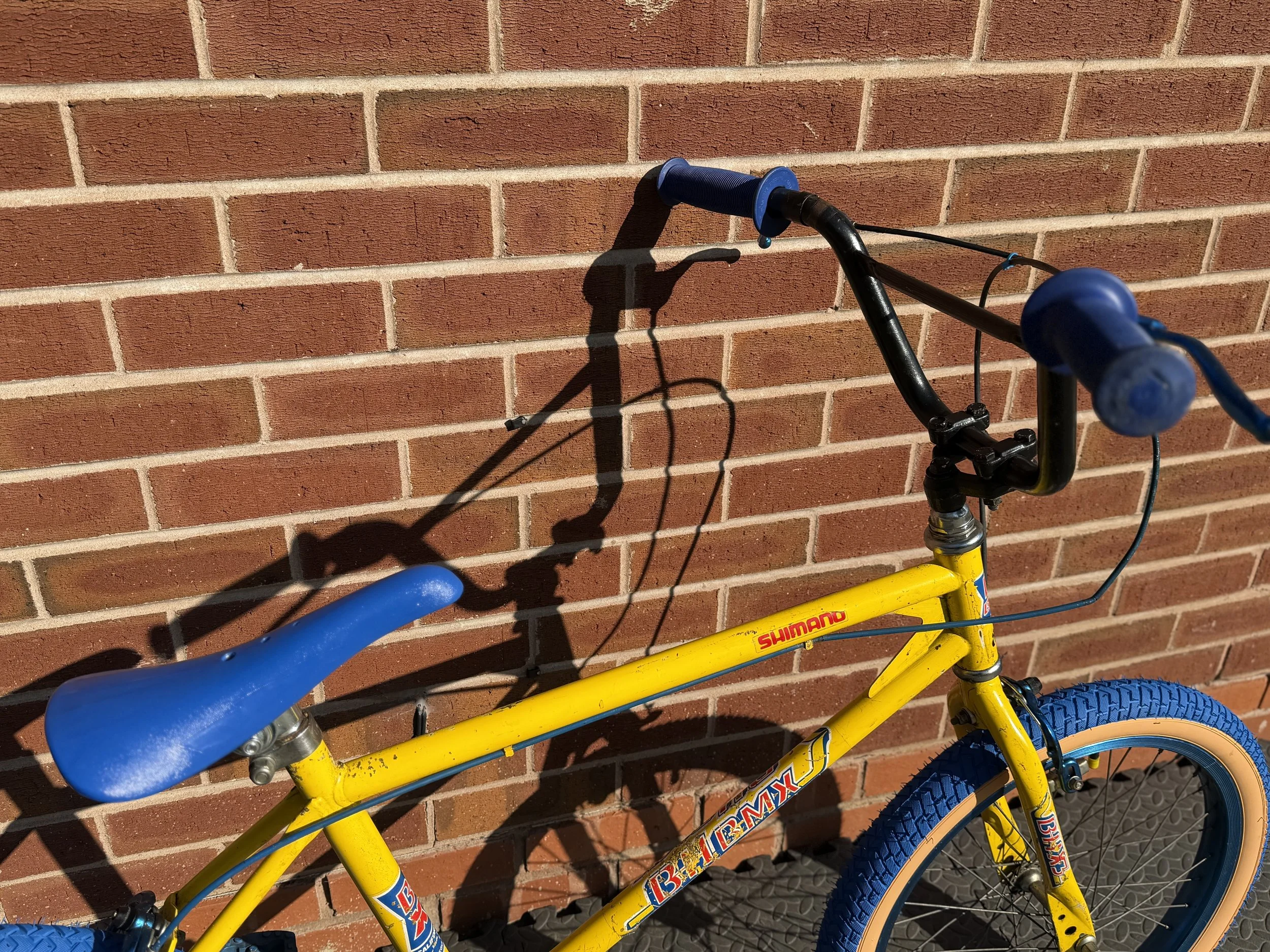 Old School BMX 19 .jpg