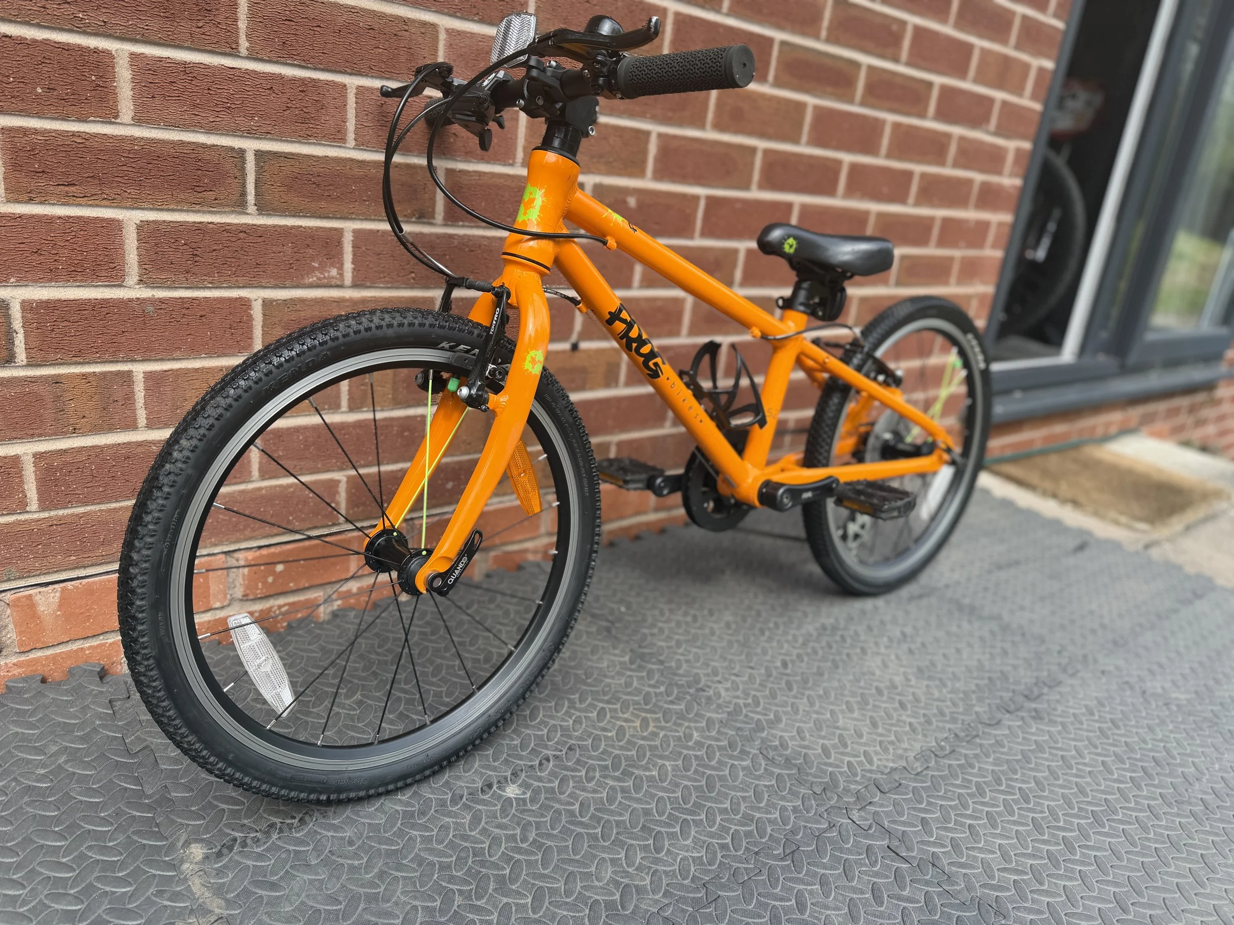 Orange Frog 52 5 .jpg