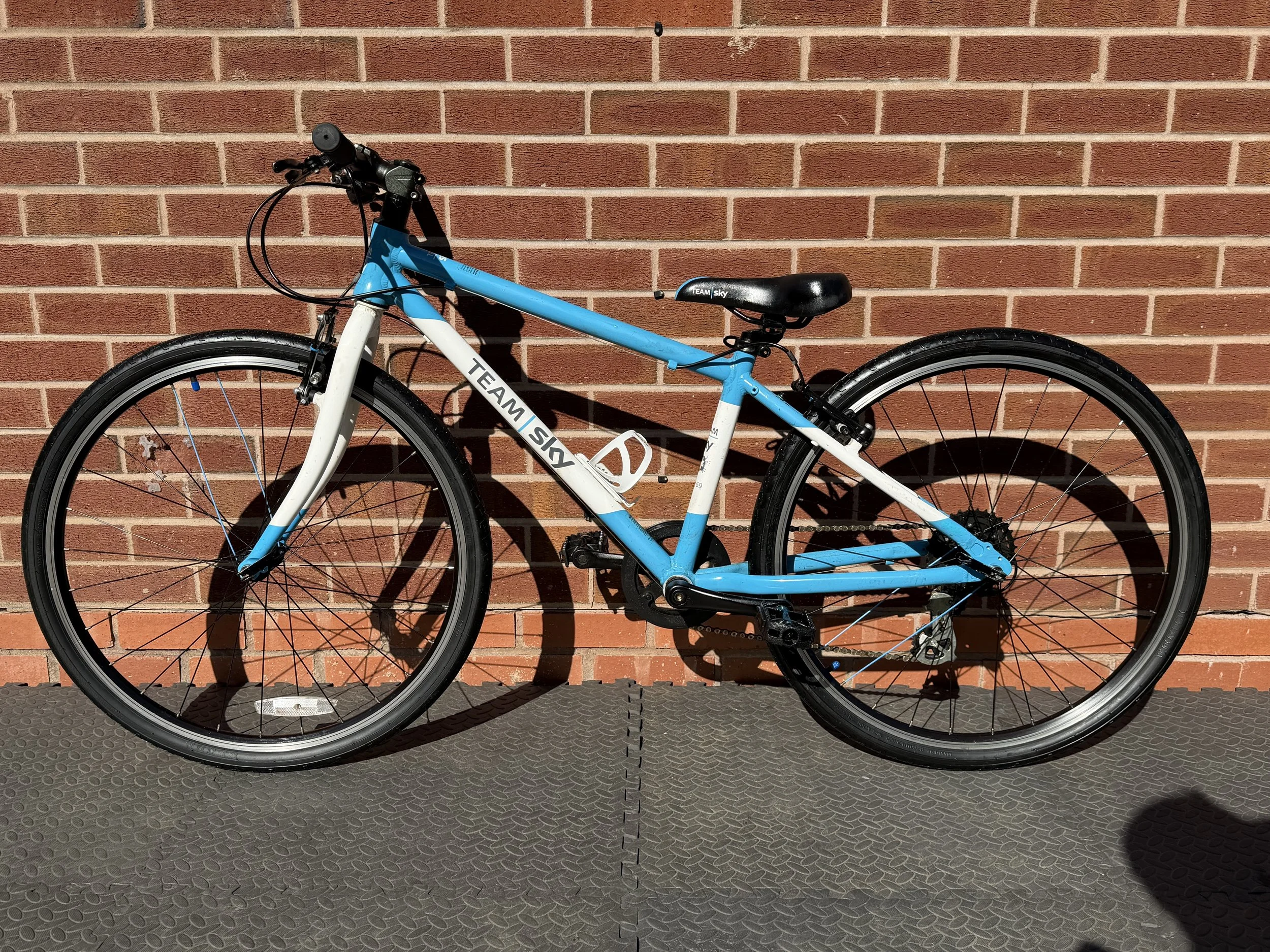 Team Sky Frog 69 1 .jpg