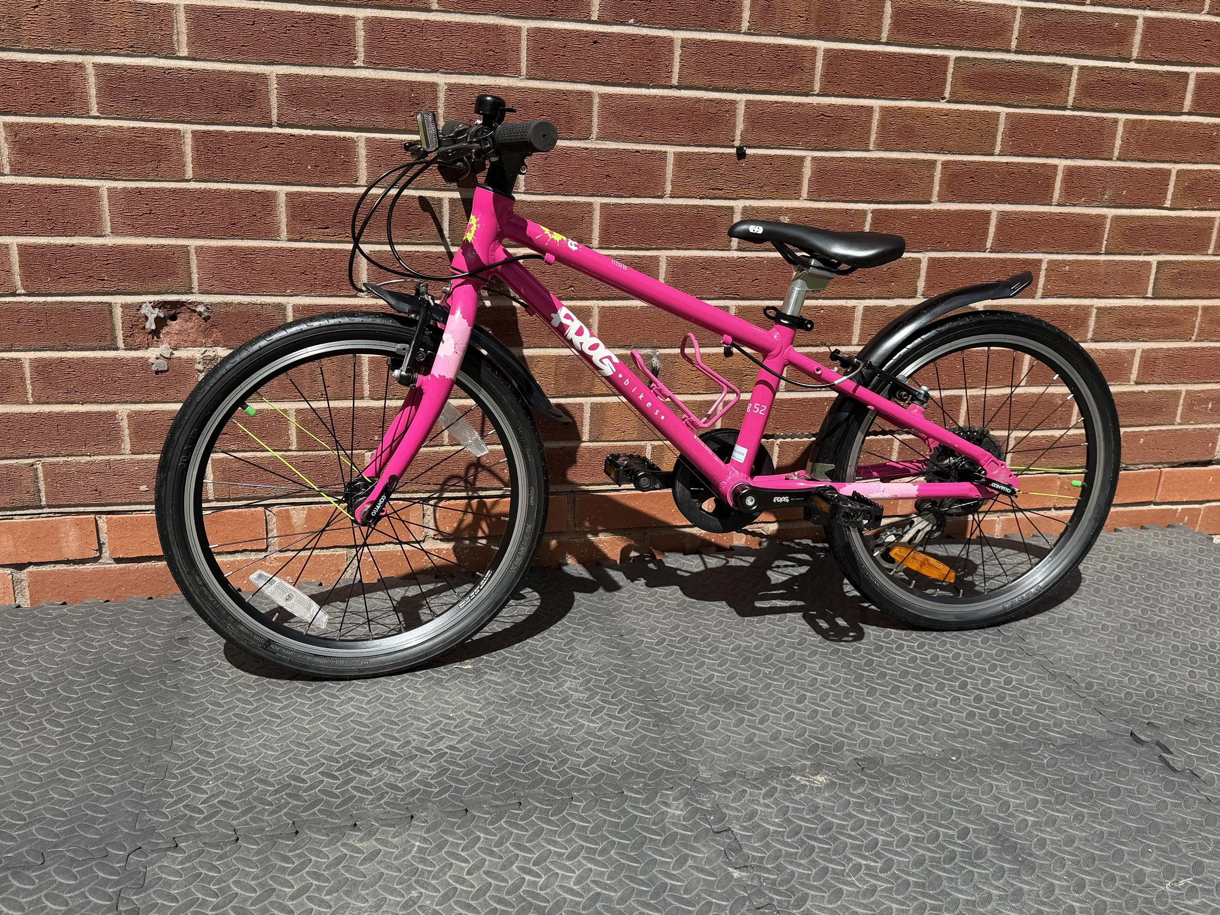 Pink Frog Bike 52 2 .jpg