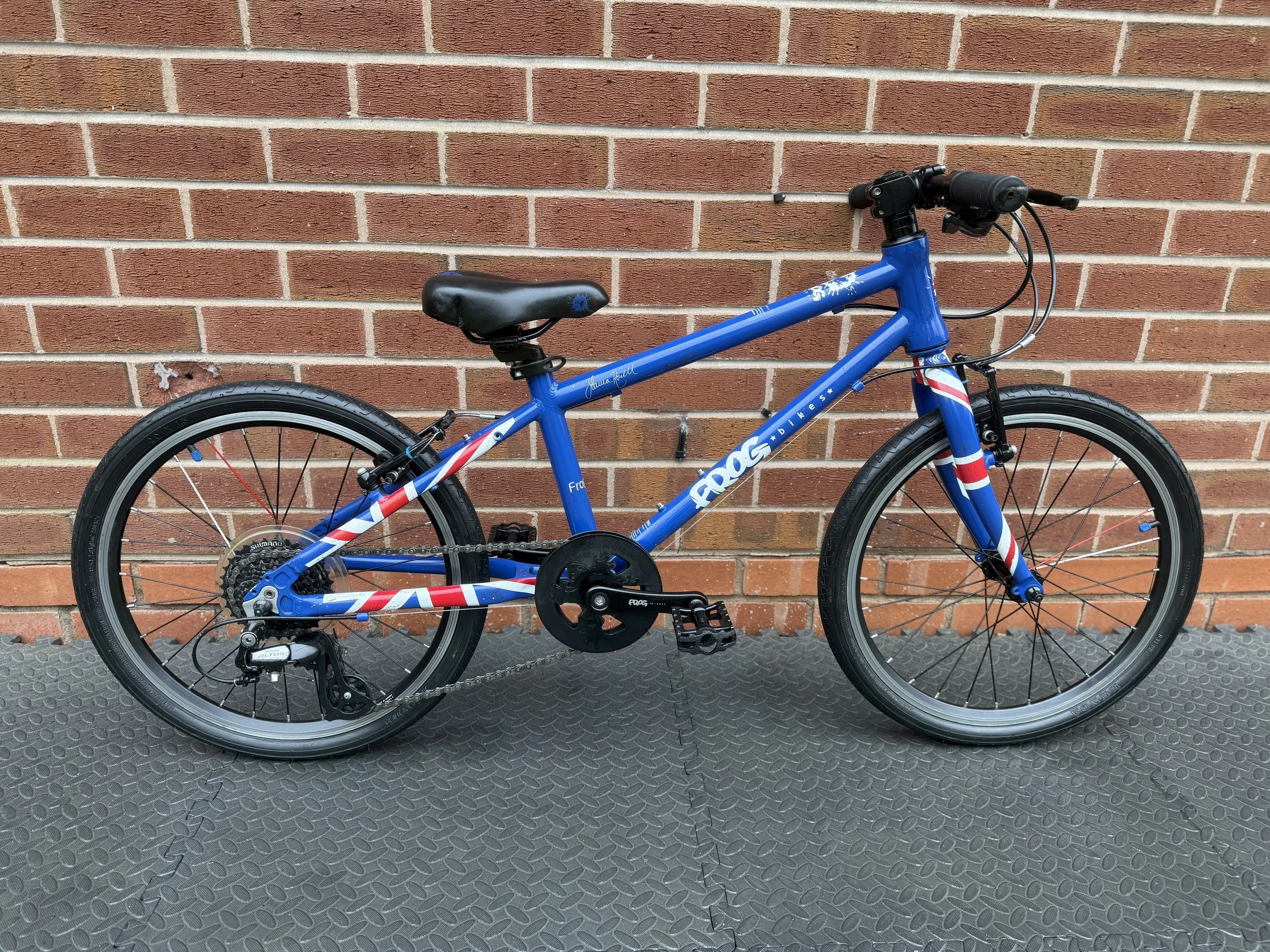 Refurbished Frog Bike 55 6 .jpg