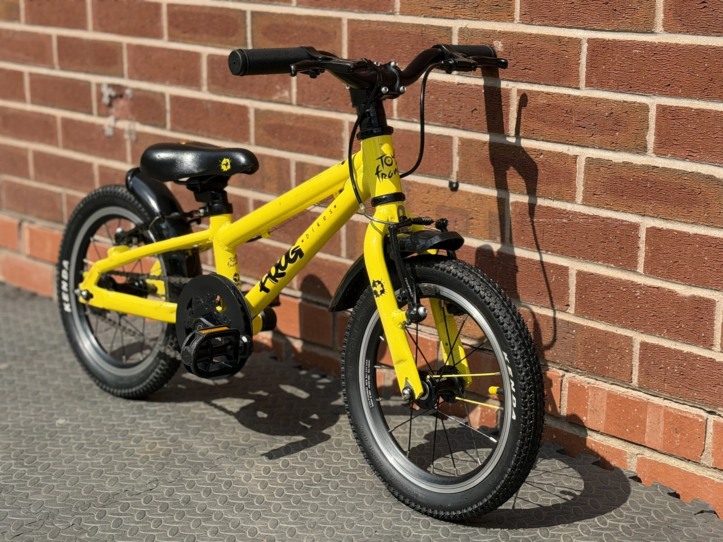 Yellow Frog 40 9 .jpg