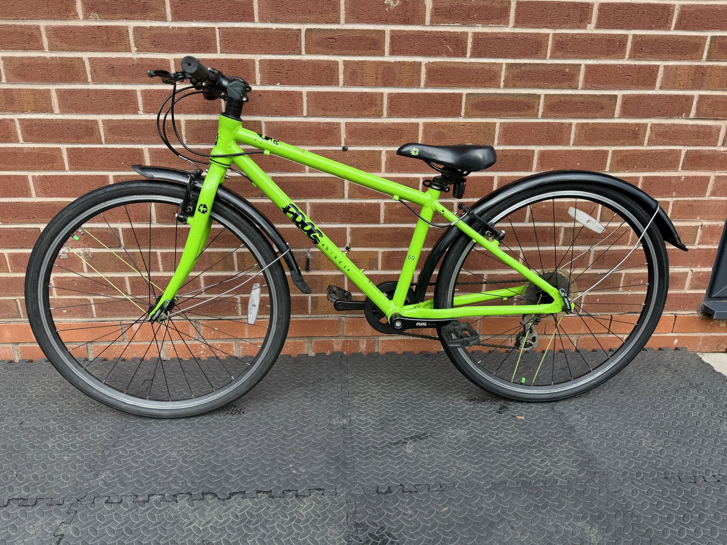 Frog Bike 69 Green 1 .jpg