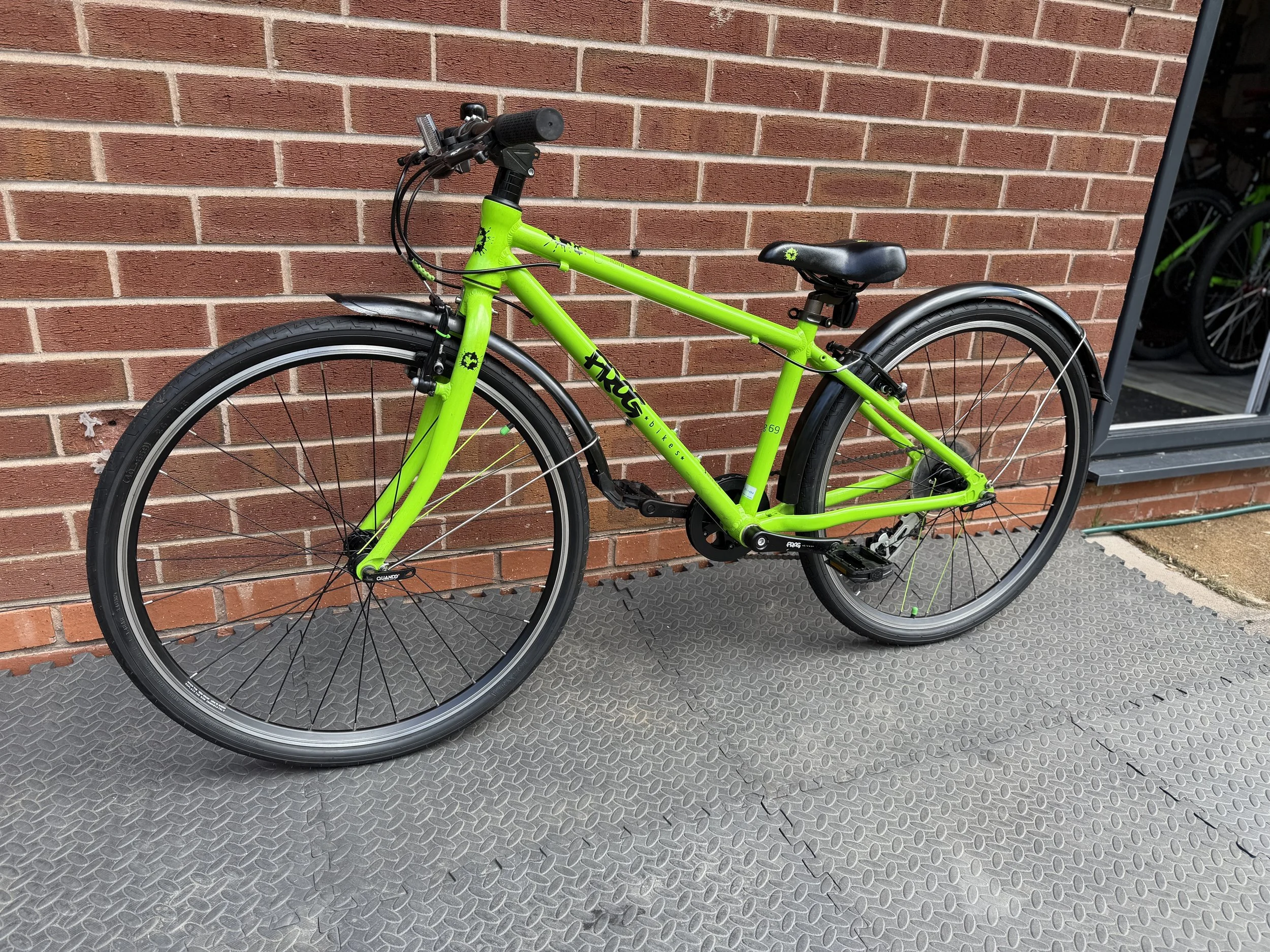 Green Frog 69 2 .jpg